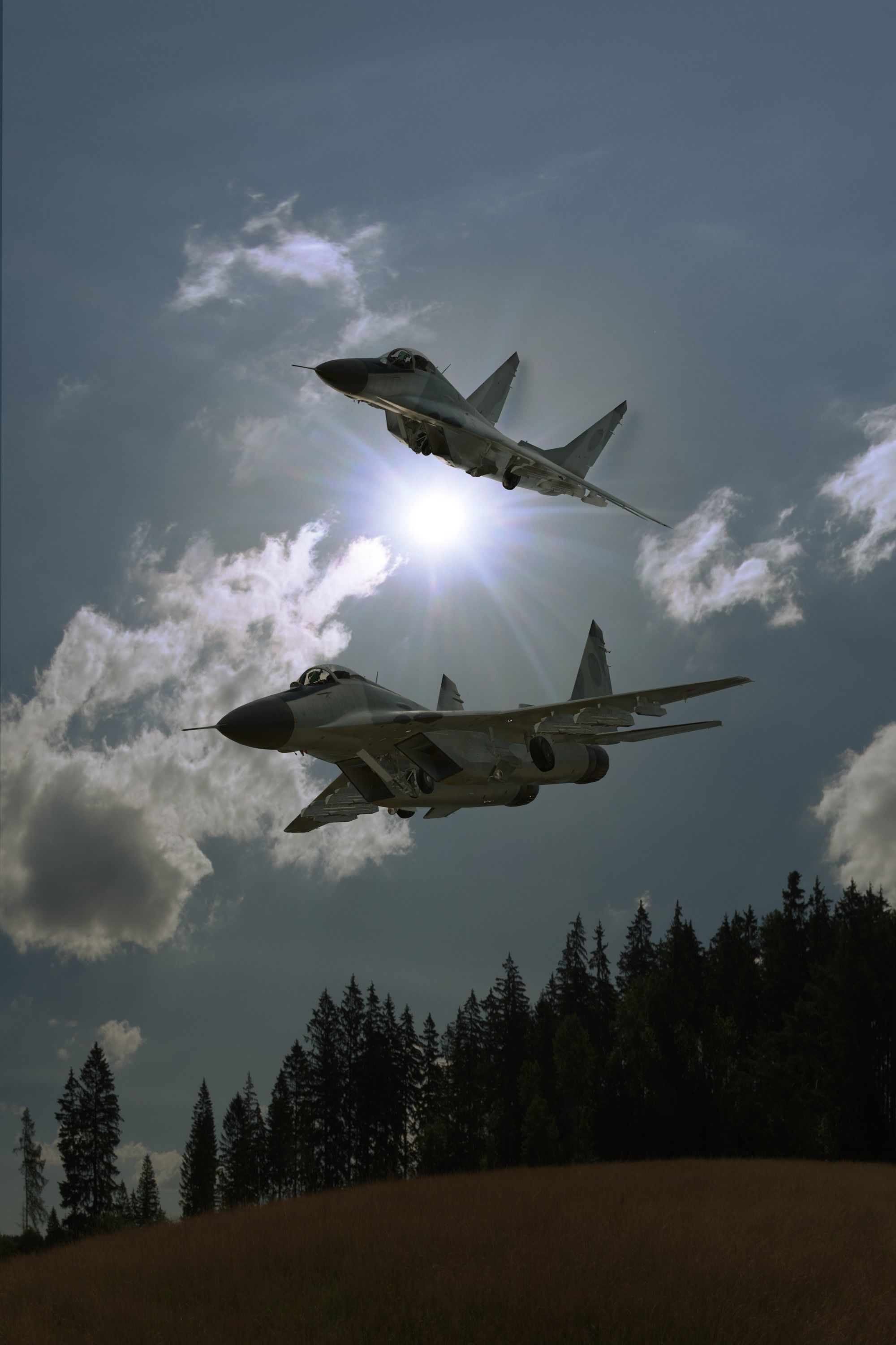 mig - 29  3D model_1