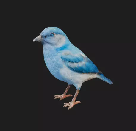 Bleu bird 3D model_0