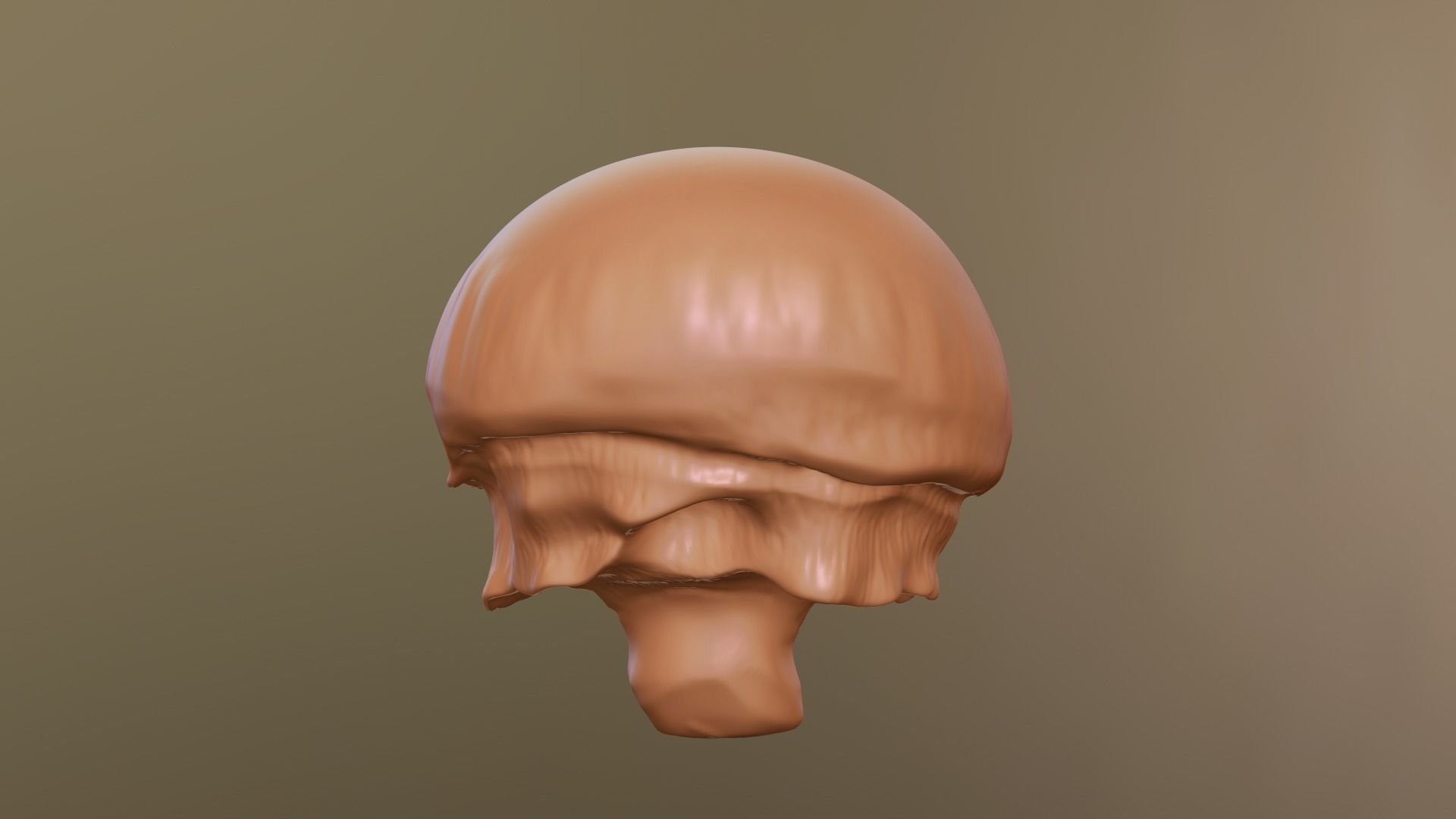 Mushroom 3D model_1