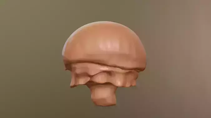 Mushroom