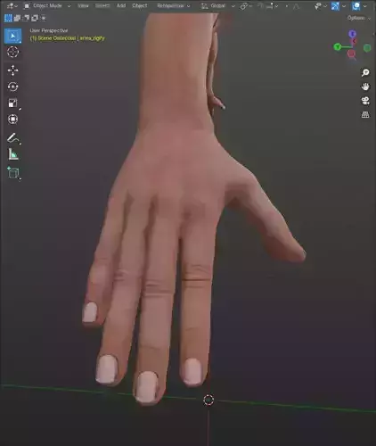 Just a Pair of Arms Low-poly 3D model