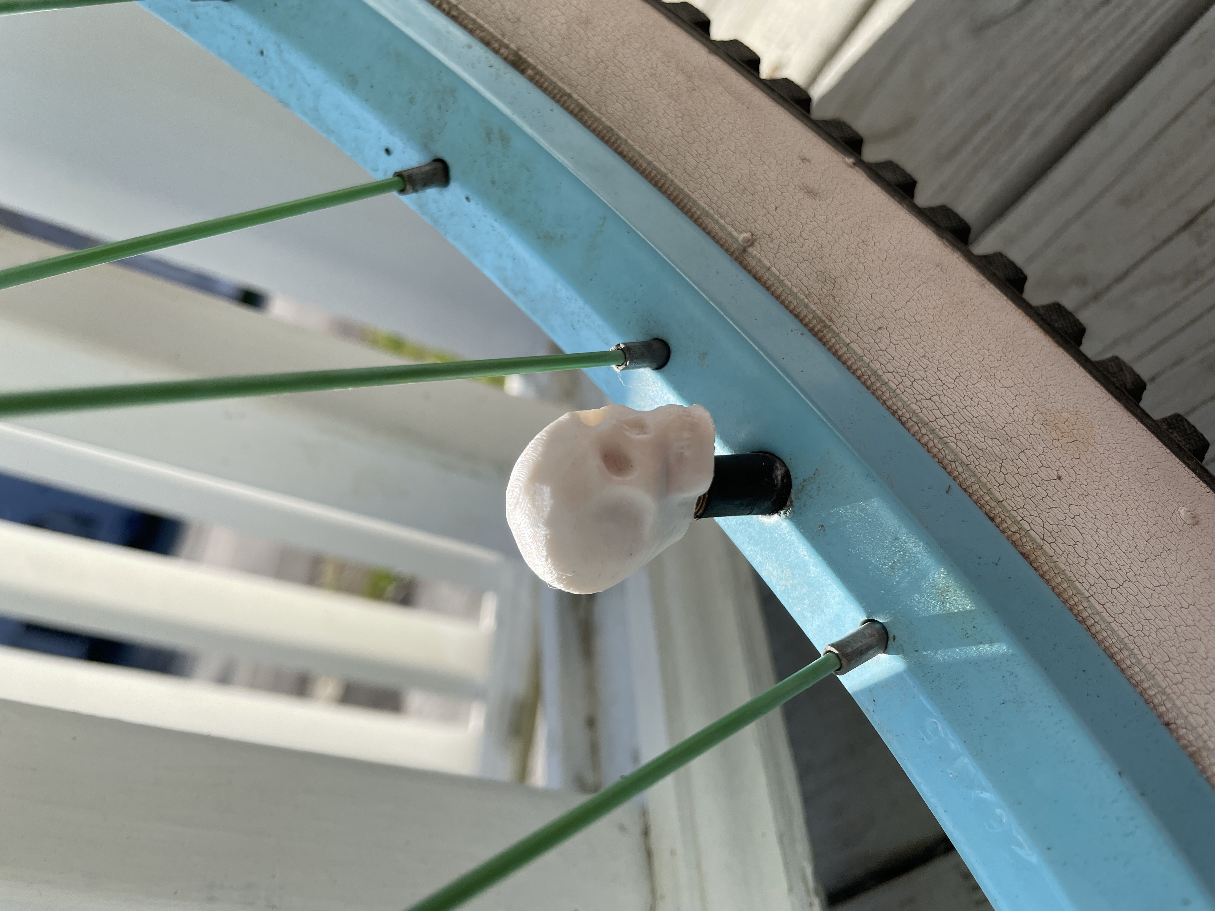 Skull Schrader Valve Caps 3D print model_5