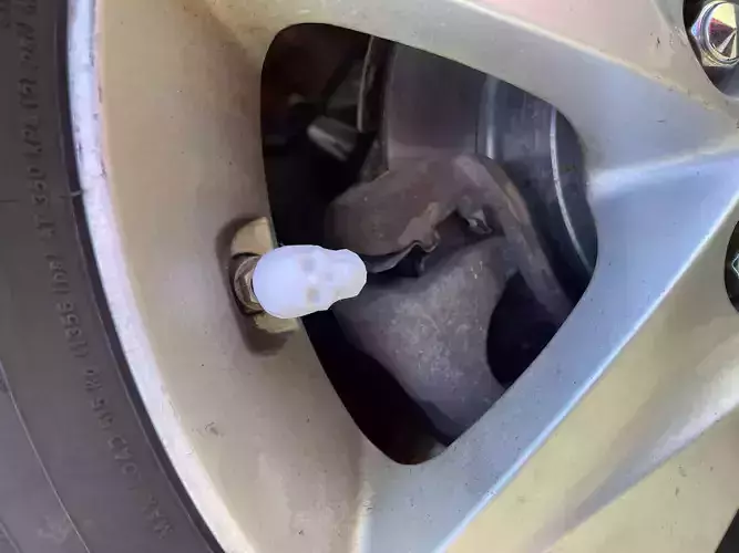 Skull Schrader Valve Caps