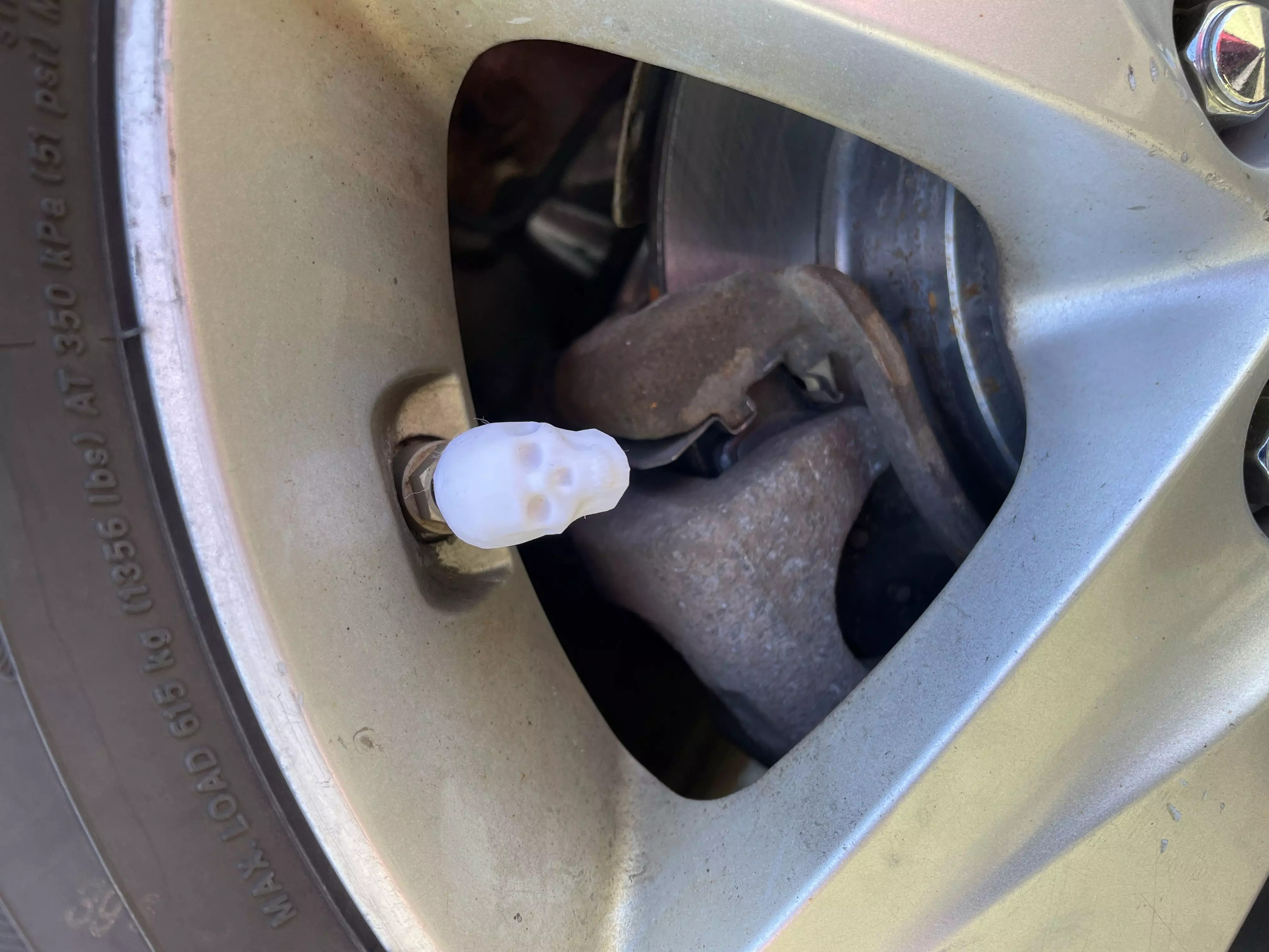 Skull Schrader Valve Caps 3D print model_0