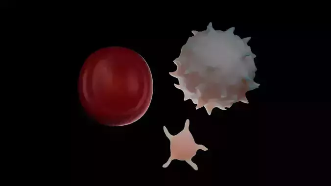 Blood Cells with materials