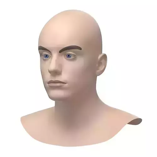 Natural Male Head 03 Base Mesh