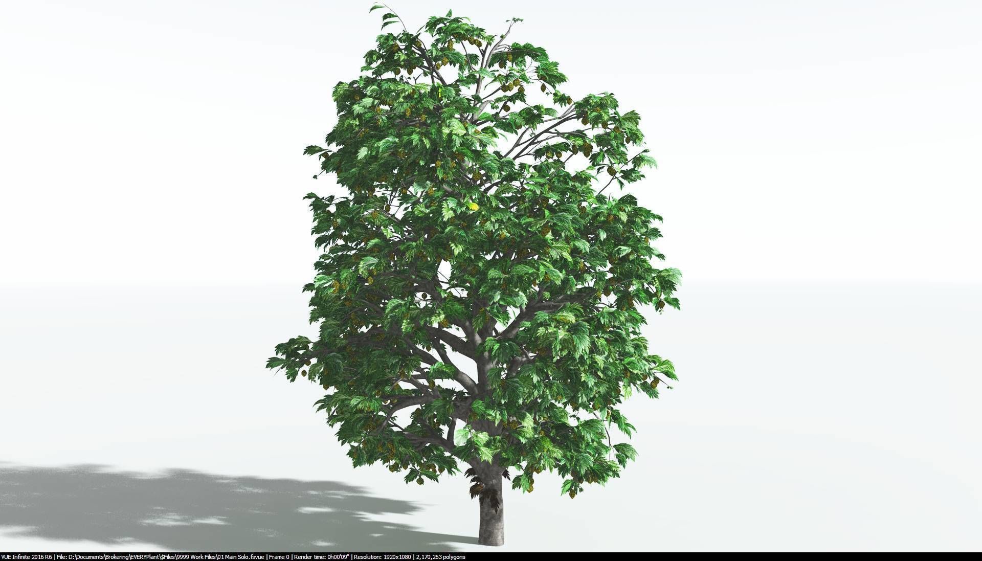 EVERYPlant Breadnut 1 --12 Models-- 3D model_16