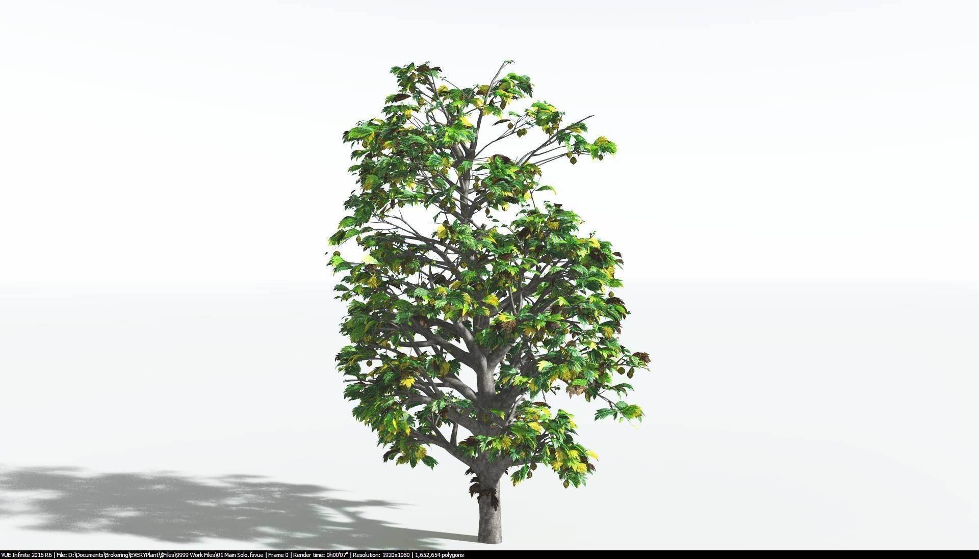 EVERYPlant Breadnut 1 --12 Models-- 3D model_8