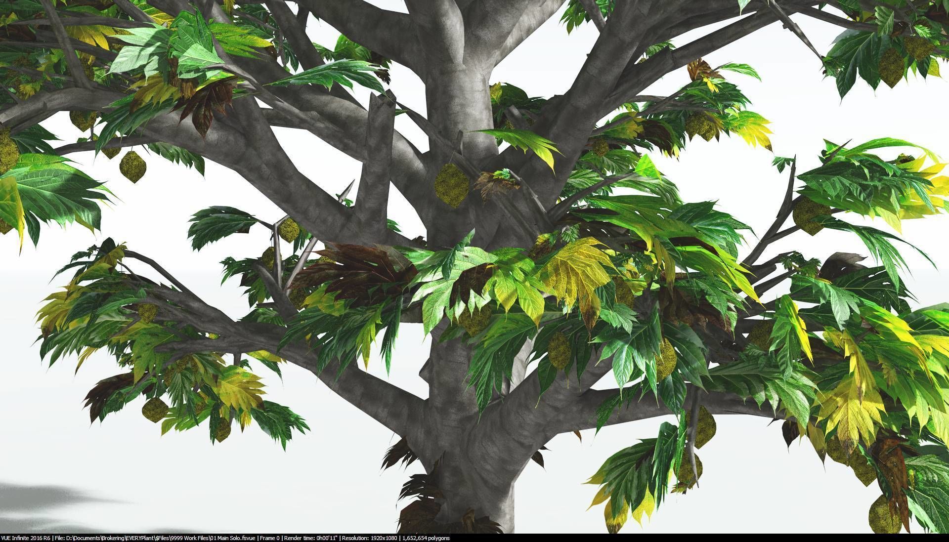EVERYPlant Breadnut 1 --12 Models-- 3D model_9