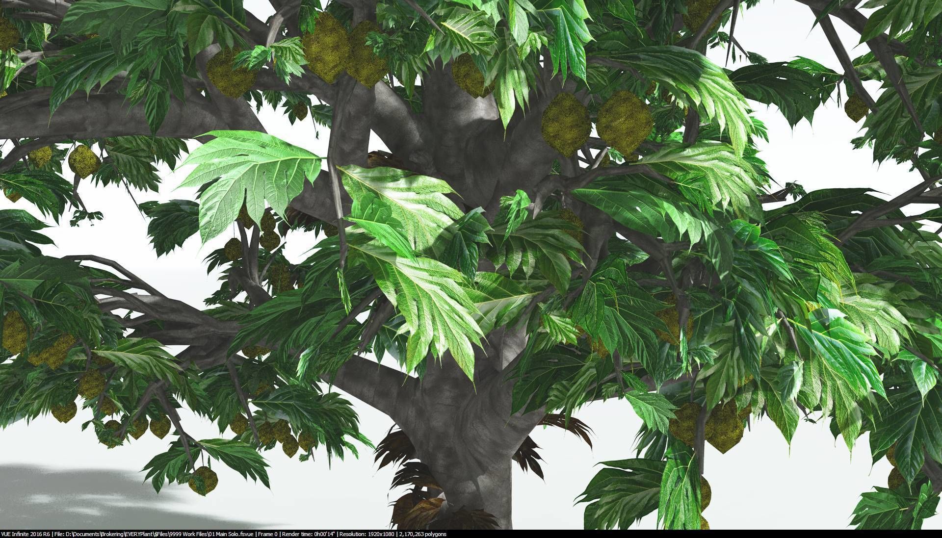 EVERYPlant Breadnut 1 --12 Models-- 3D model_17