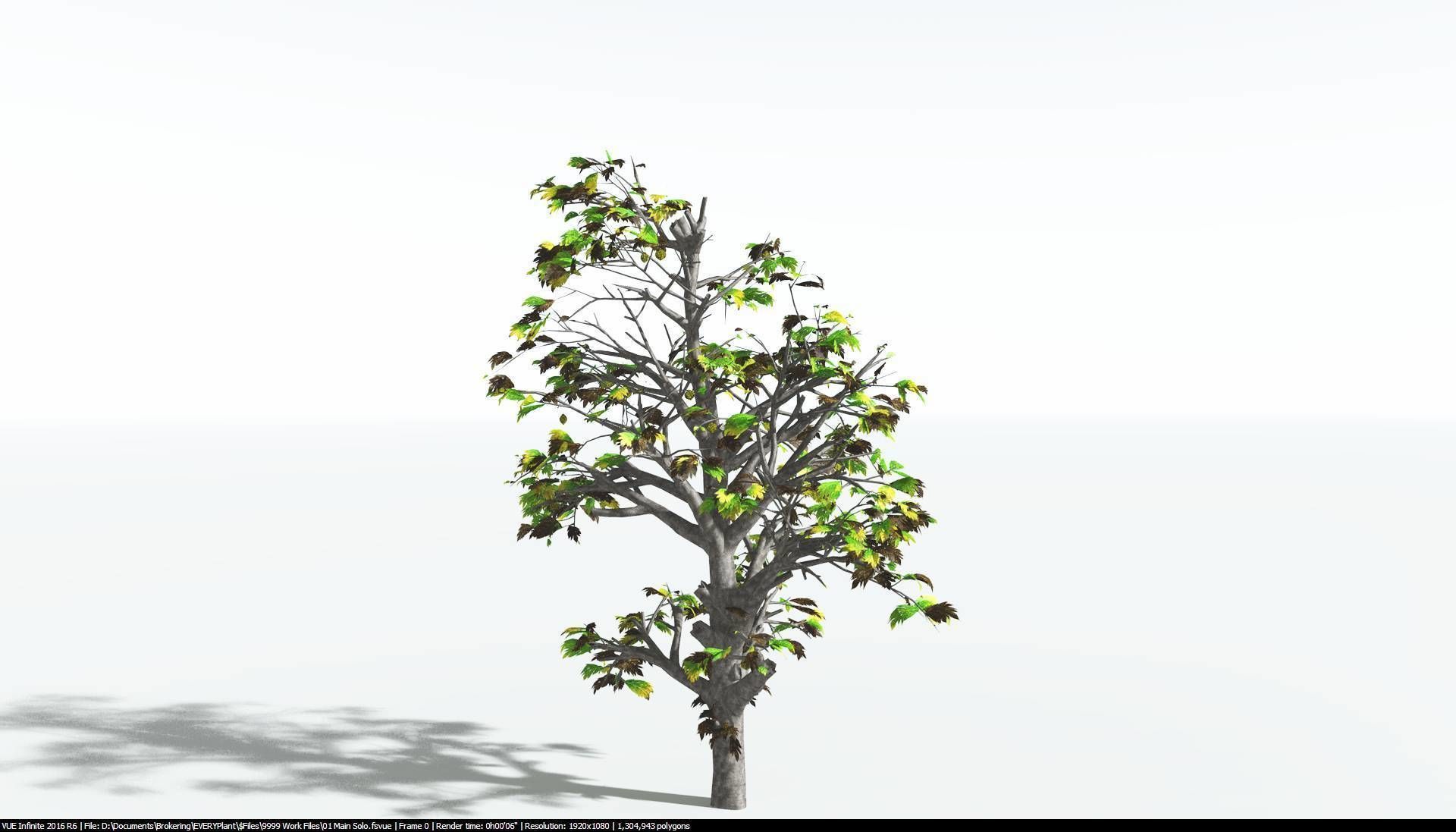 EVERYPlant Breadnut 1 --12 Models-- 3D model_10
