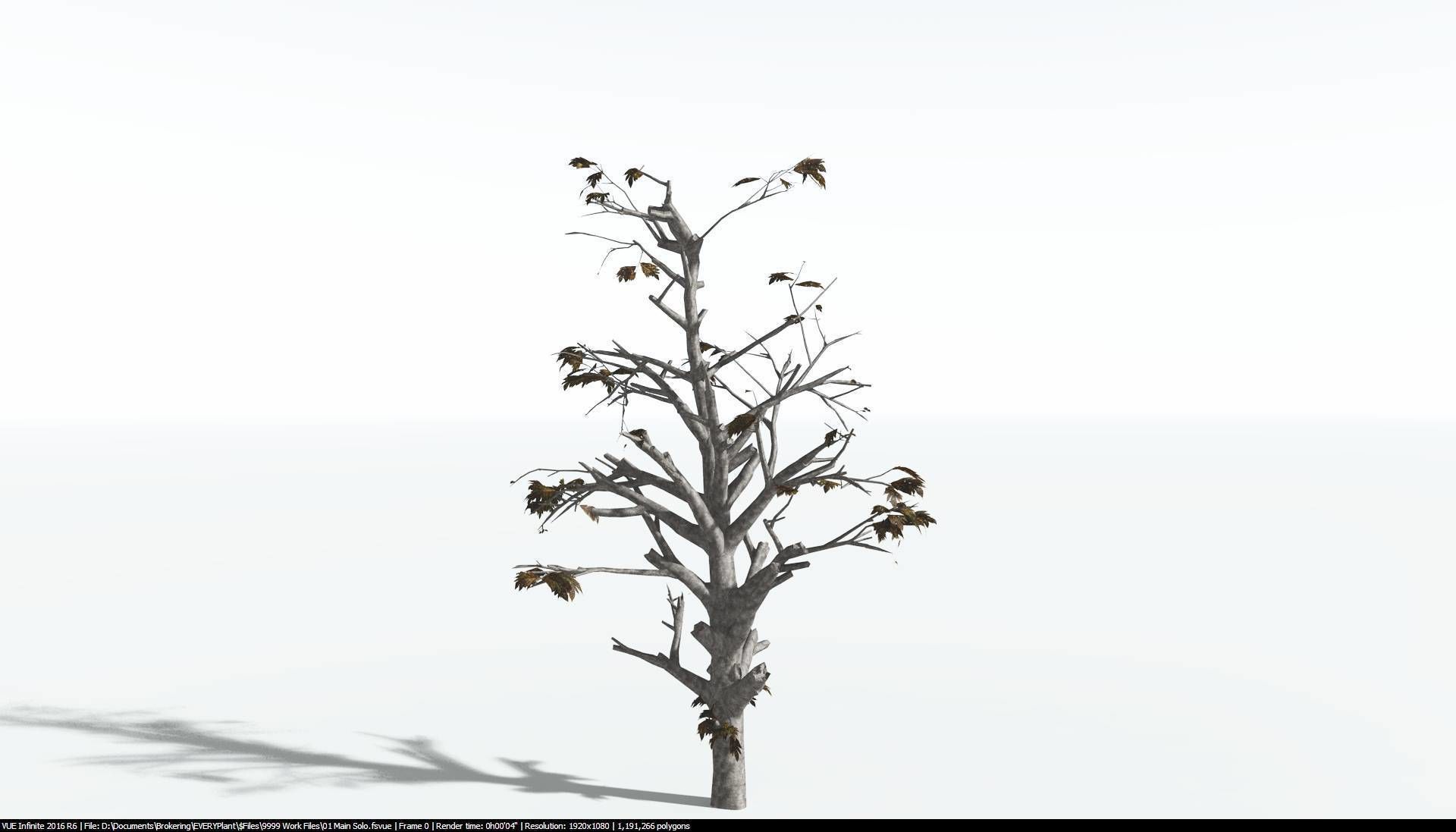 EVERYPlant Breadnut 1 --12 Models-- 3D model_12