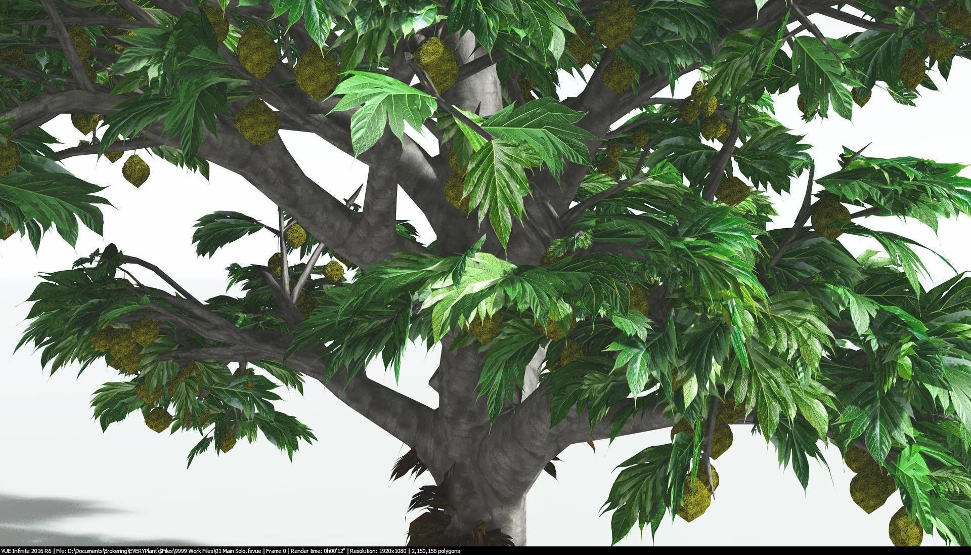 EVERYPlant Breadnut 1 --12 Models-- 3D model_5