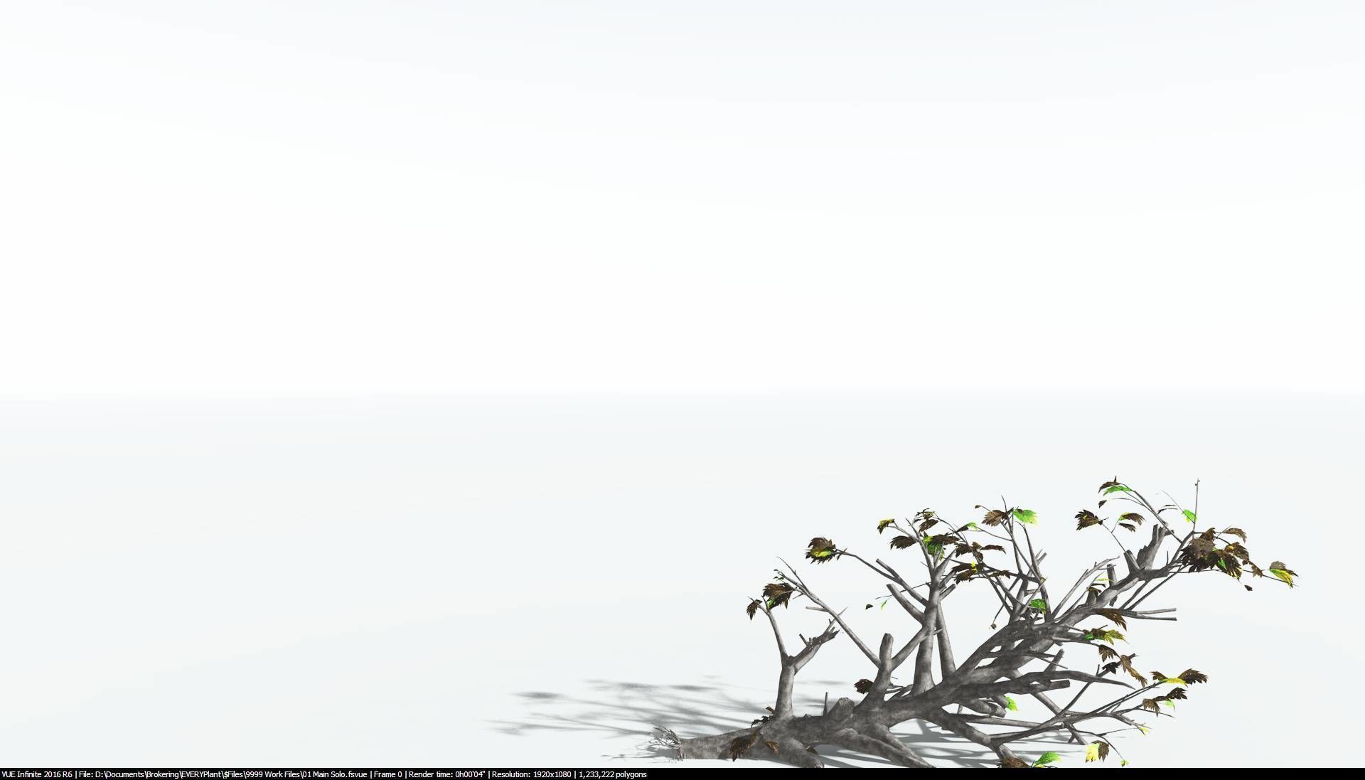 EVERYPlant Breadnut 1 --12 Models-- 3D model_14