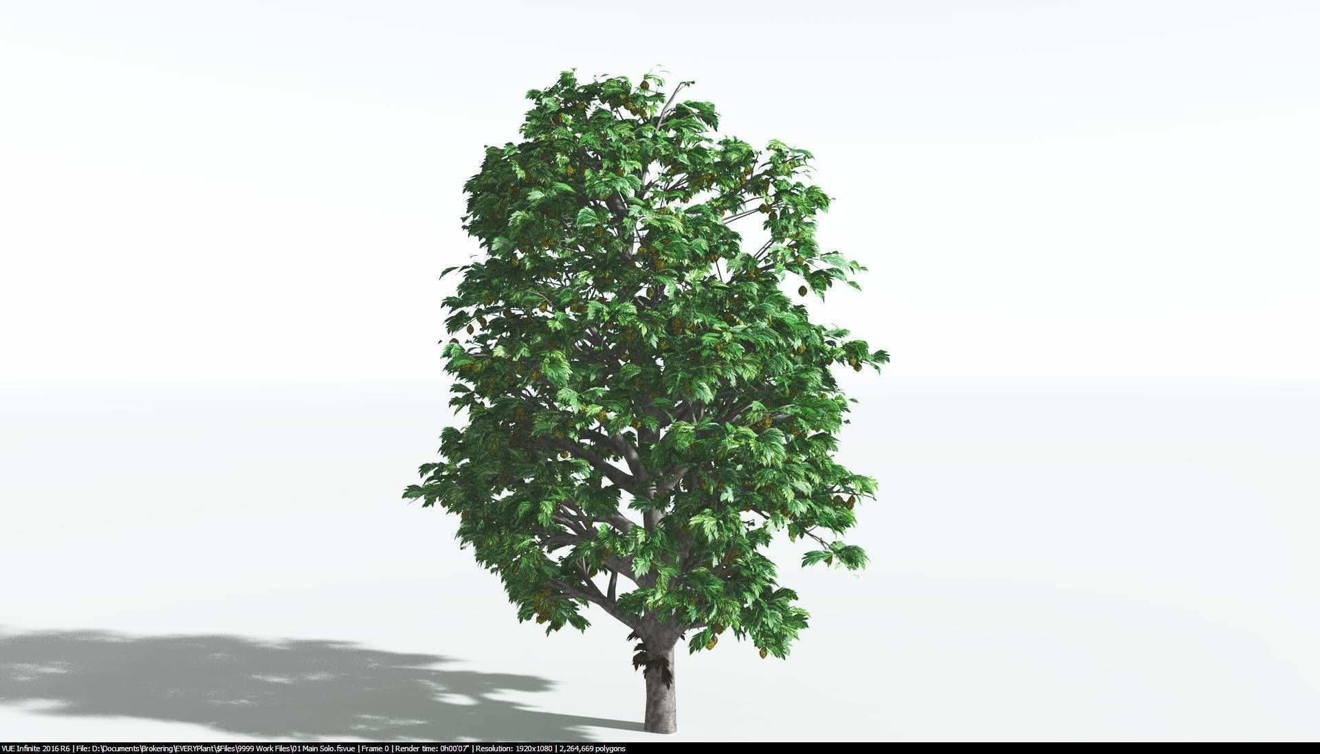 EVERYPlant Breadnut 1 --12 Models-- 3D model_6