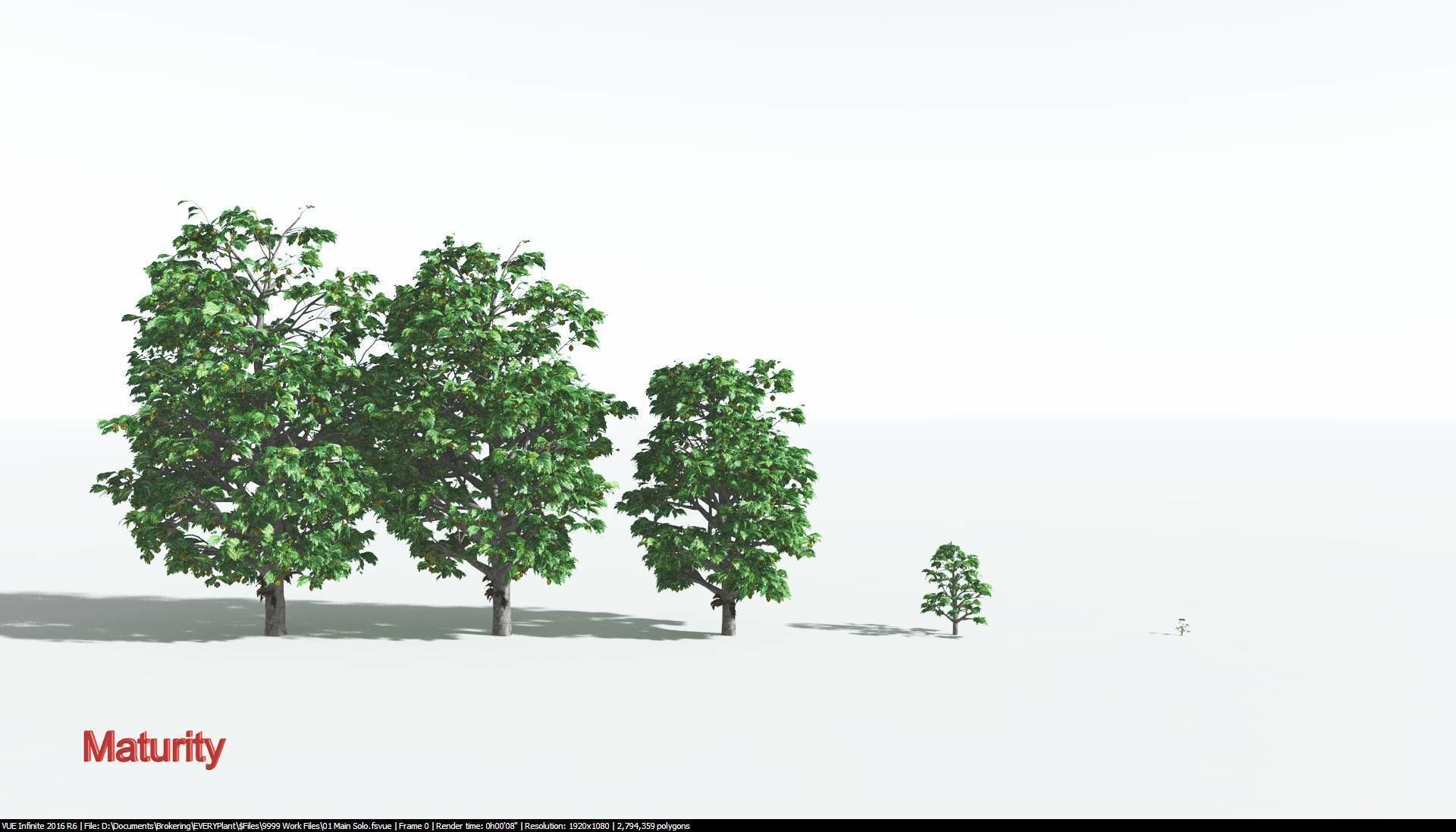 EVERYPlant Breadnut 1 --12 Models-- 3D model_2