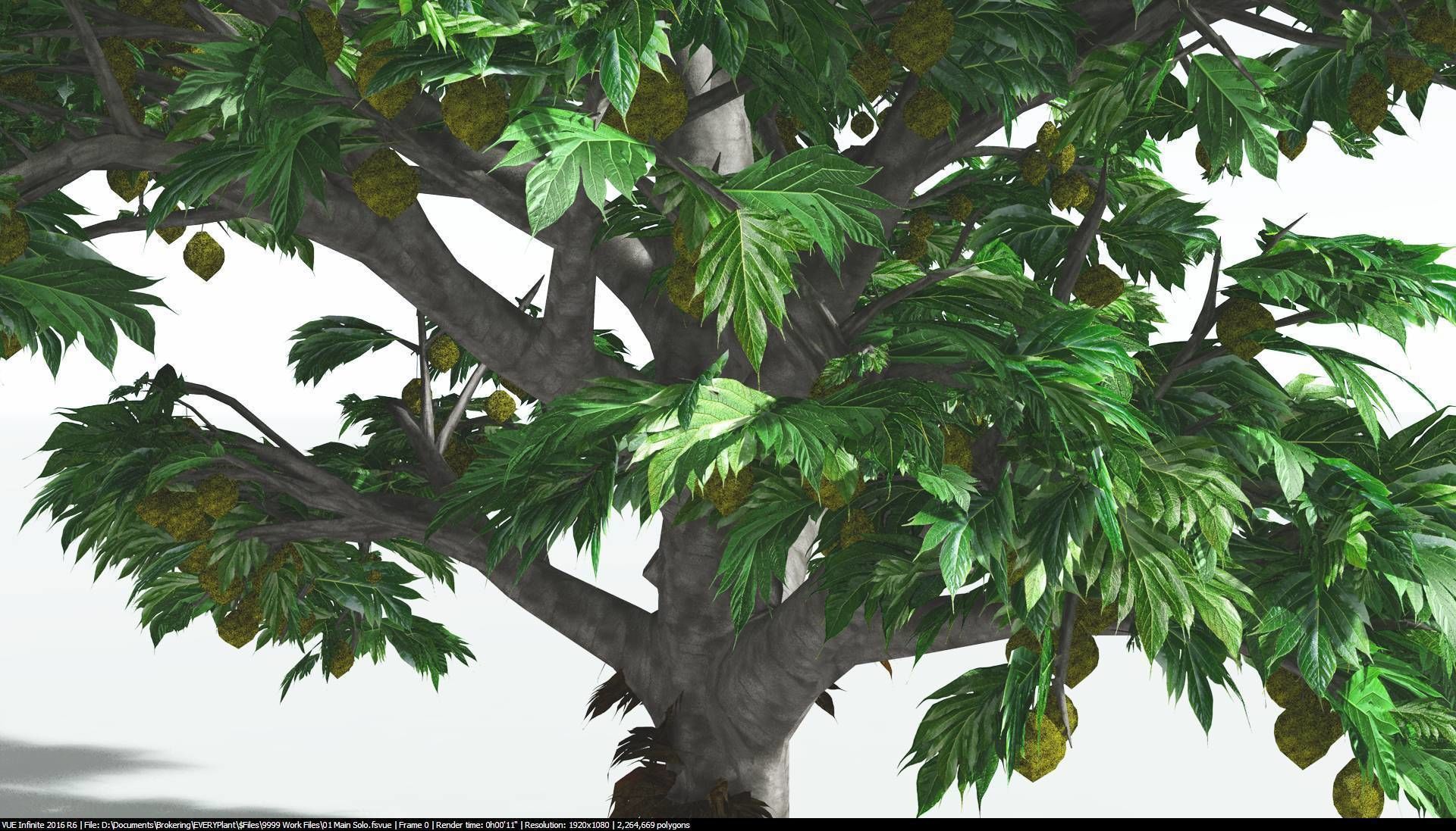 EVERYPlant Breadnut 1 --12 Models-- 3D model_7