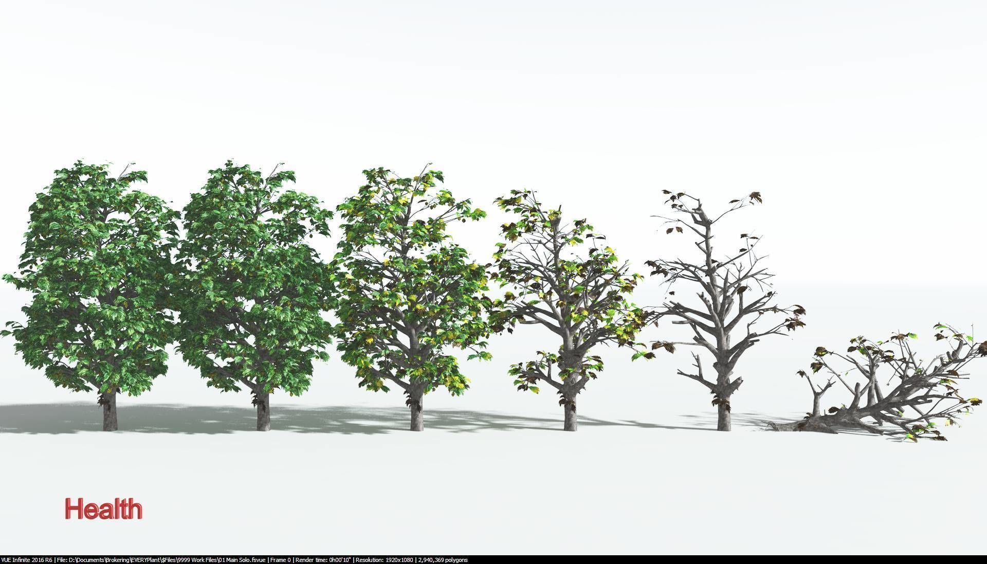 EVERYPlant Breadnut 1 --12 Models-- 3D model_1