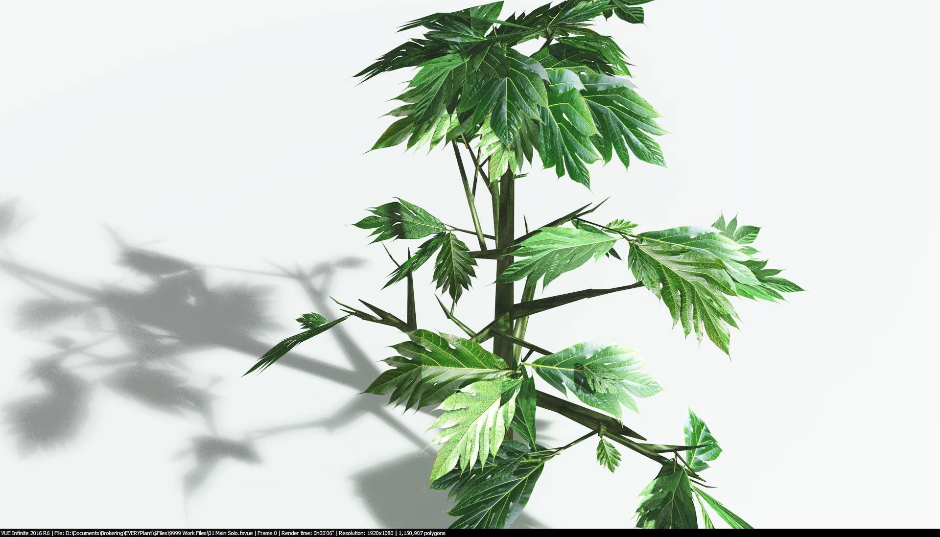 EVERYPlant Breadnut 1 --12 Models-- 3D model_23