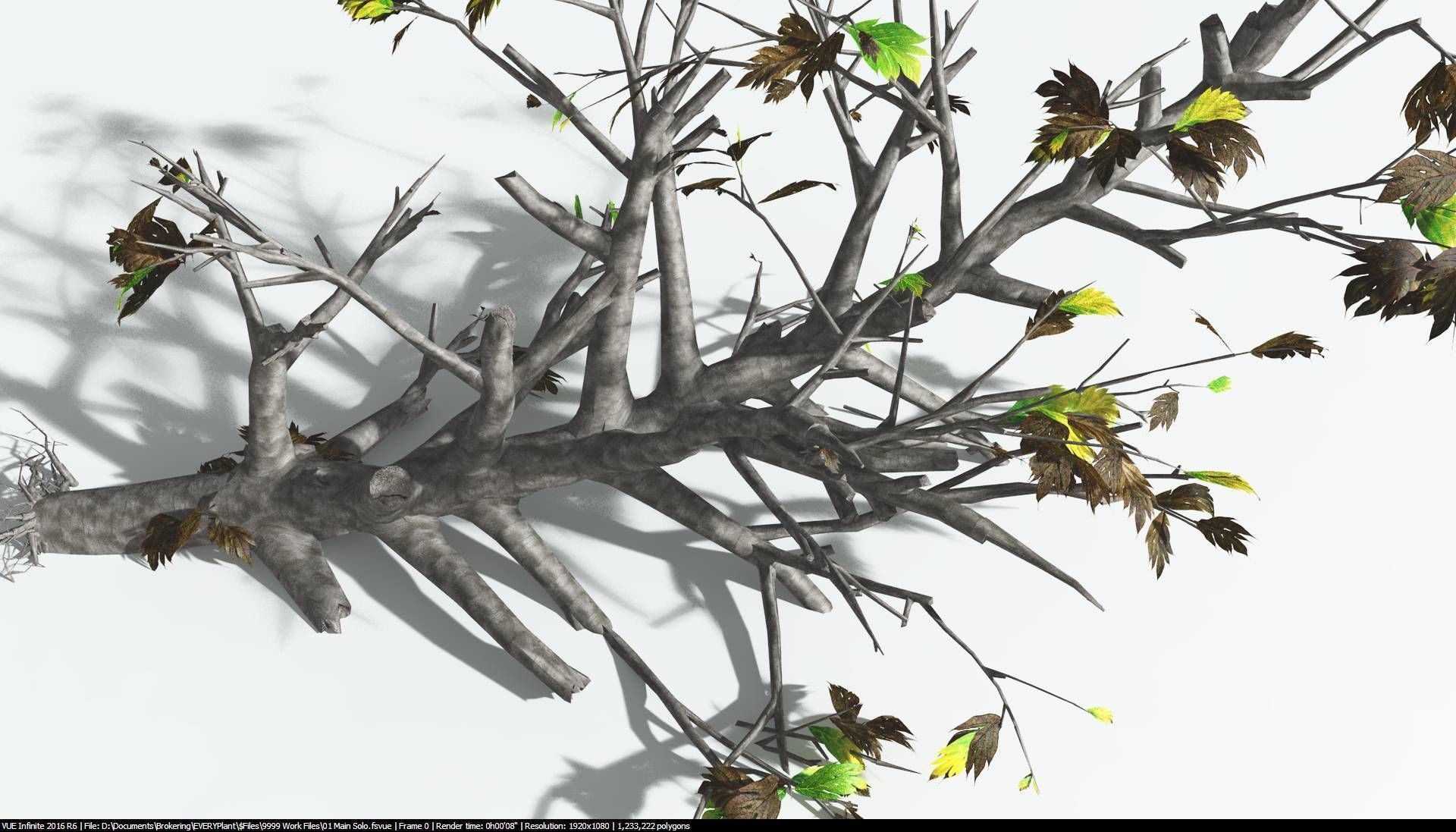 EVERYPlant Breadnut 1 --12 Models-- 3D model_15