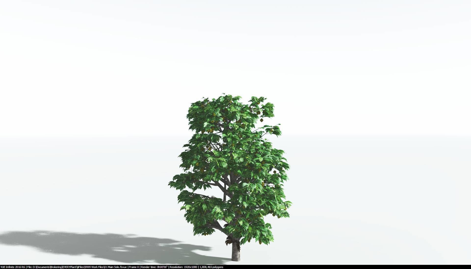 EVERYPlant Breadnut 1 --12 Models-- 3D model_18