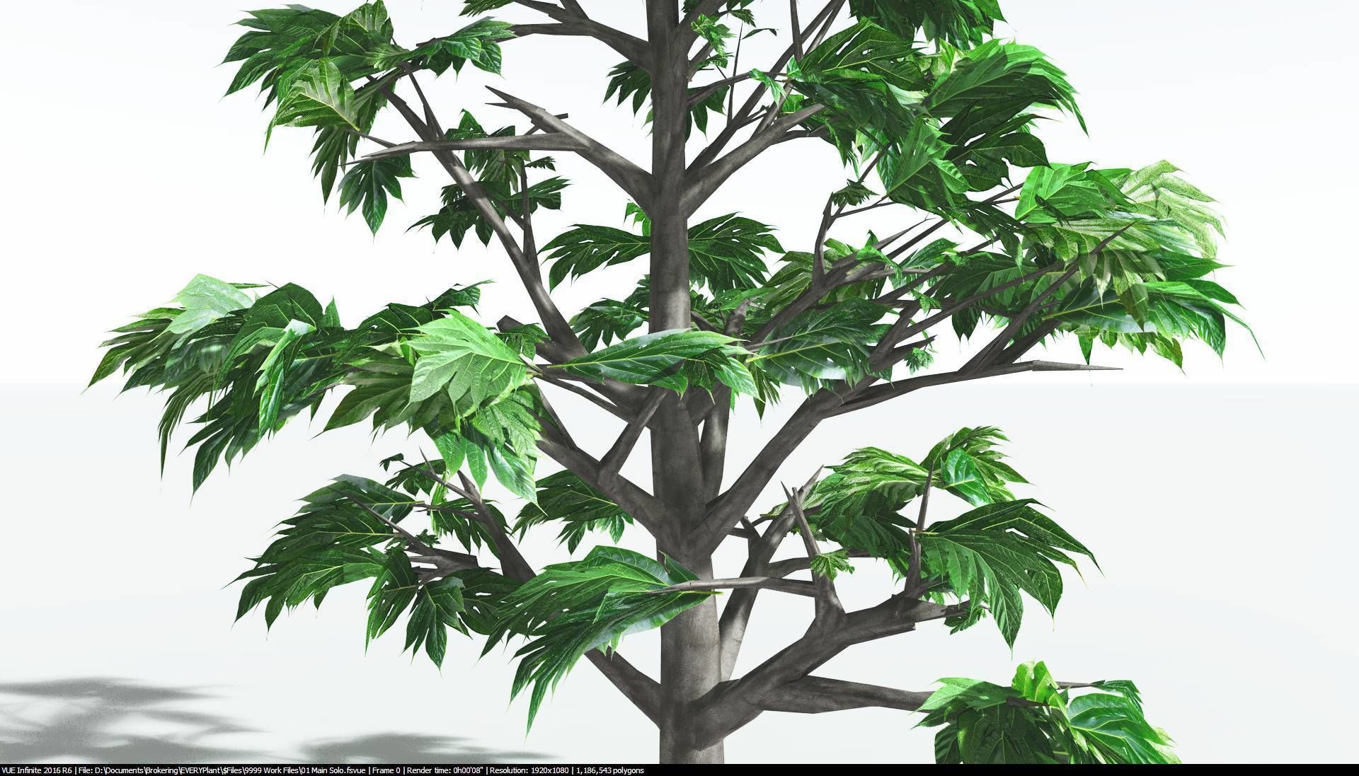 EVERYPlant Breadnut 1 --12 Models-- 3D model_21
