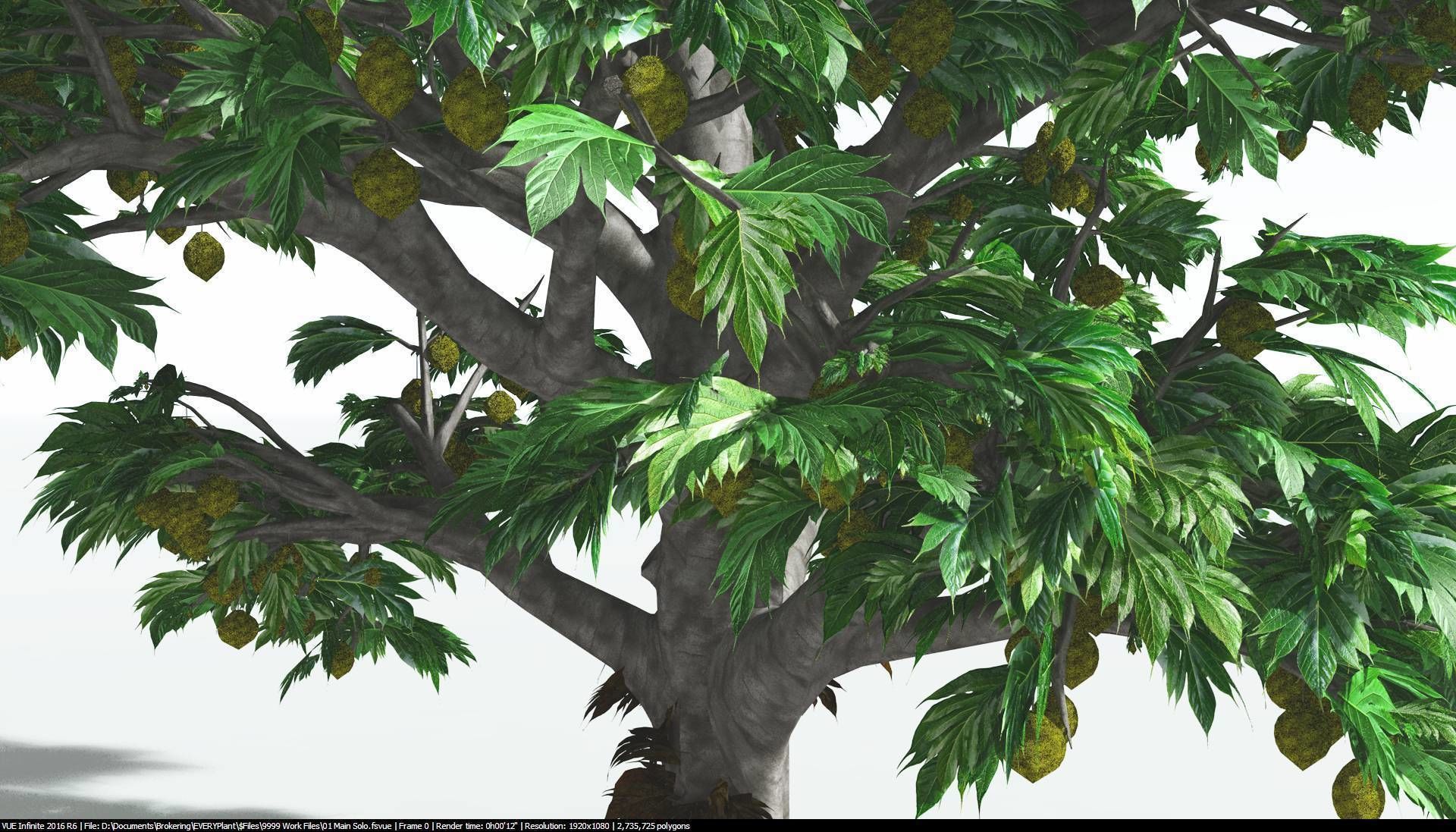 EVERYPlant Breadnut 1 --12 Models-- 3D model_27