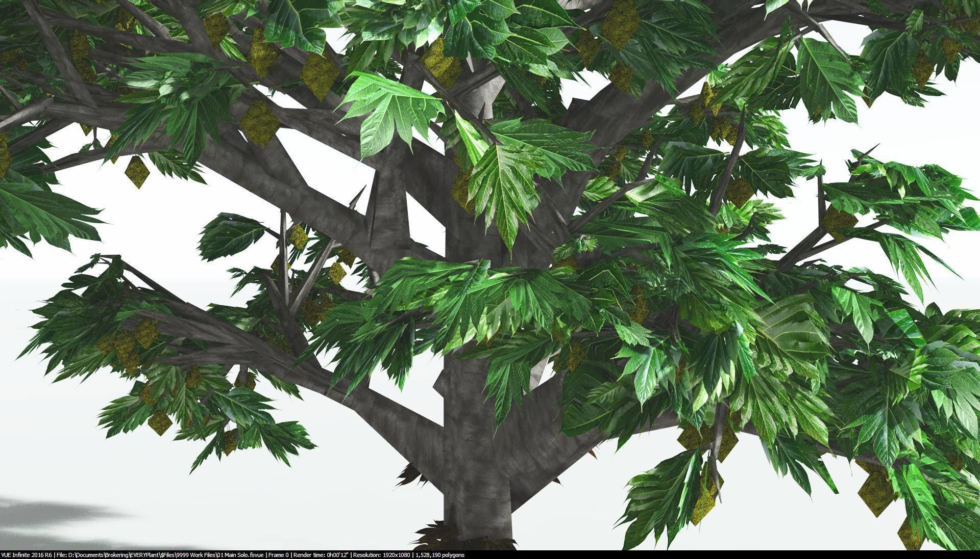 EVERYPlant Breadnut 1 --12 Models-- 3D model_25