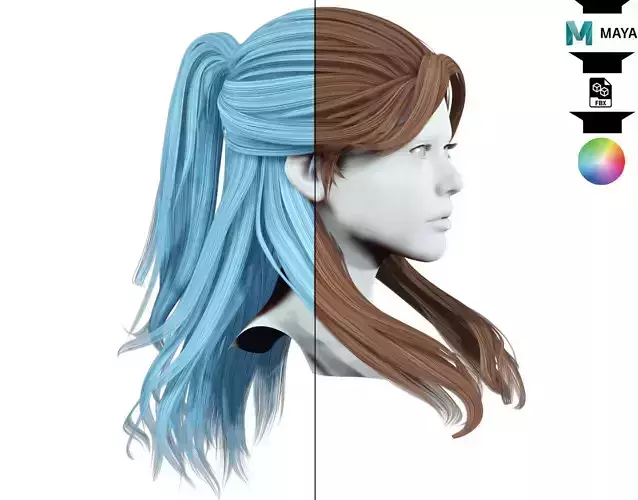 Half up Ponytail Hair 