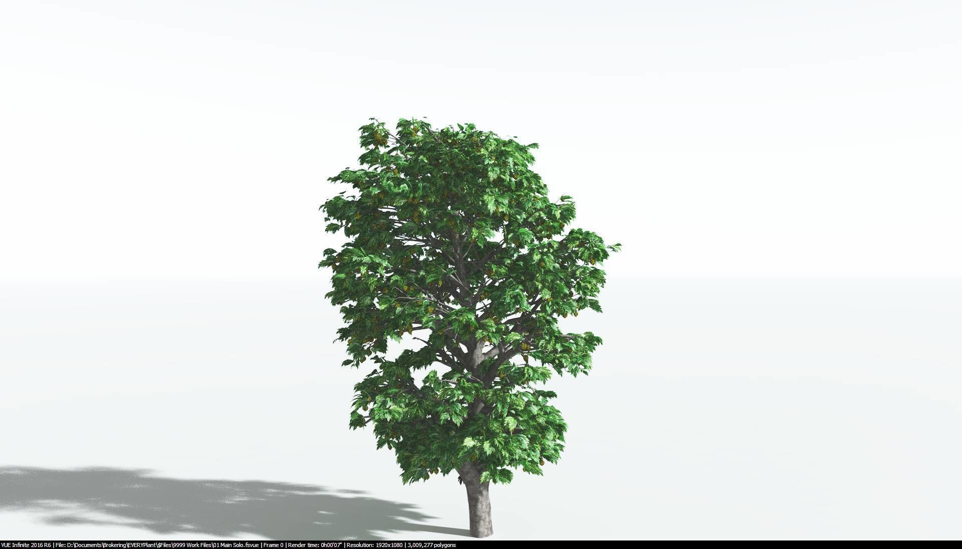 EVERYPlant Breadnut 2 --12 Models-- 3D model_6