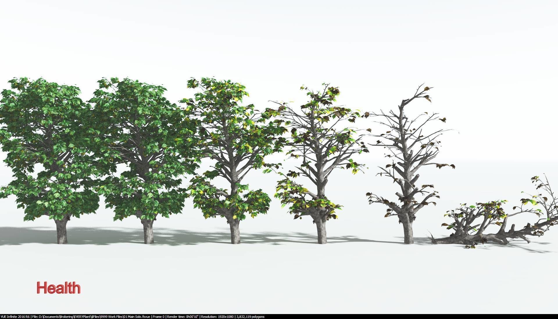 EVERYPlant Breadnut 2 --12 Models-- 3D model_1