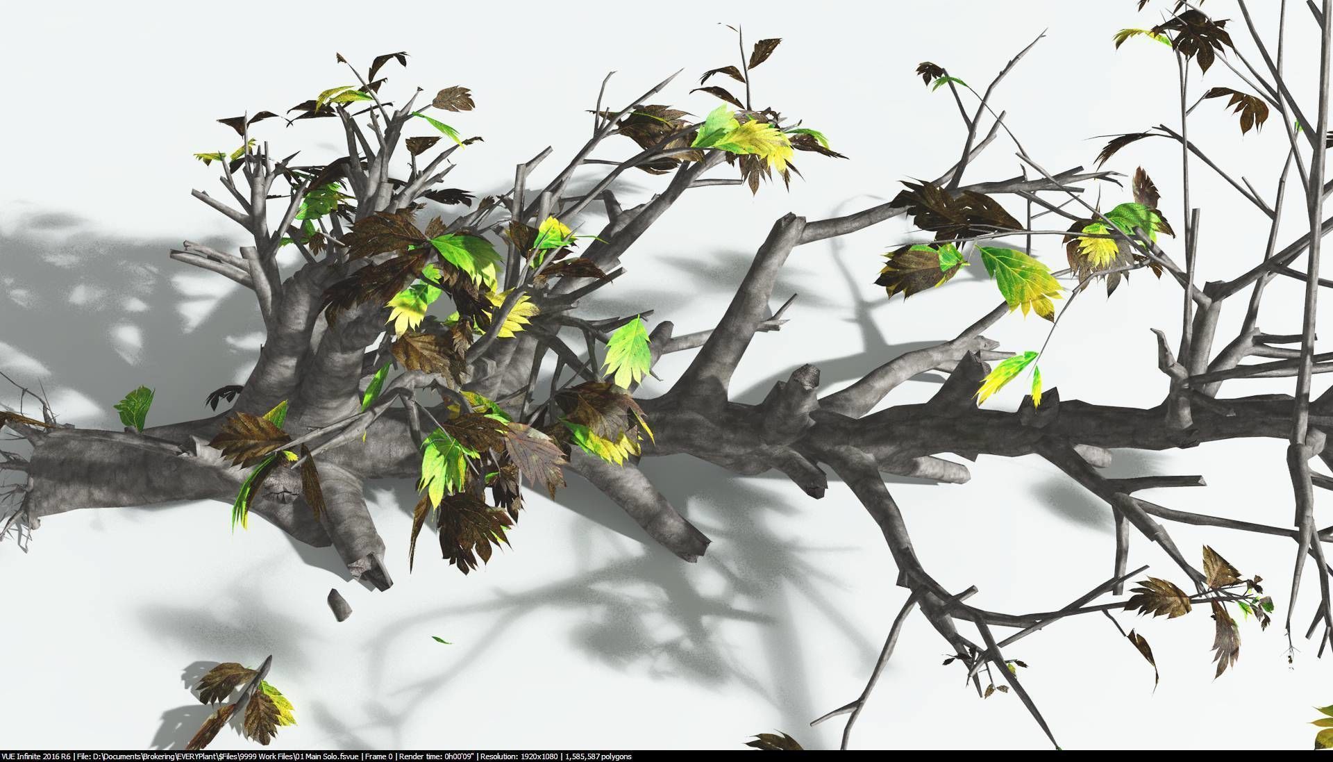EVERYPlant Breadnut 2 --12 Models-- 3D model_15