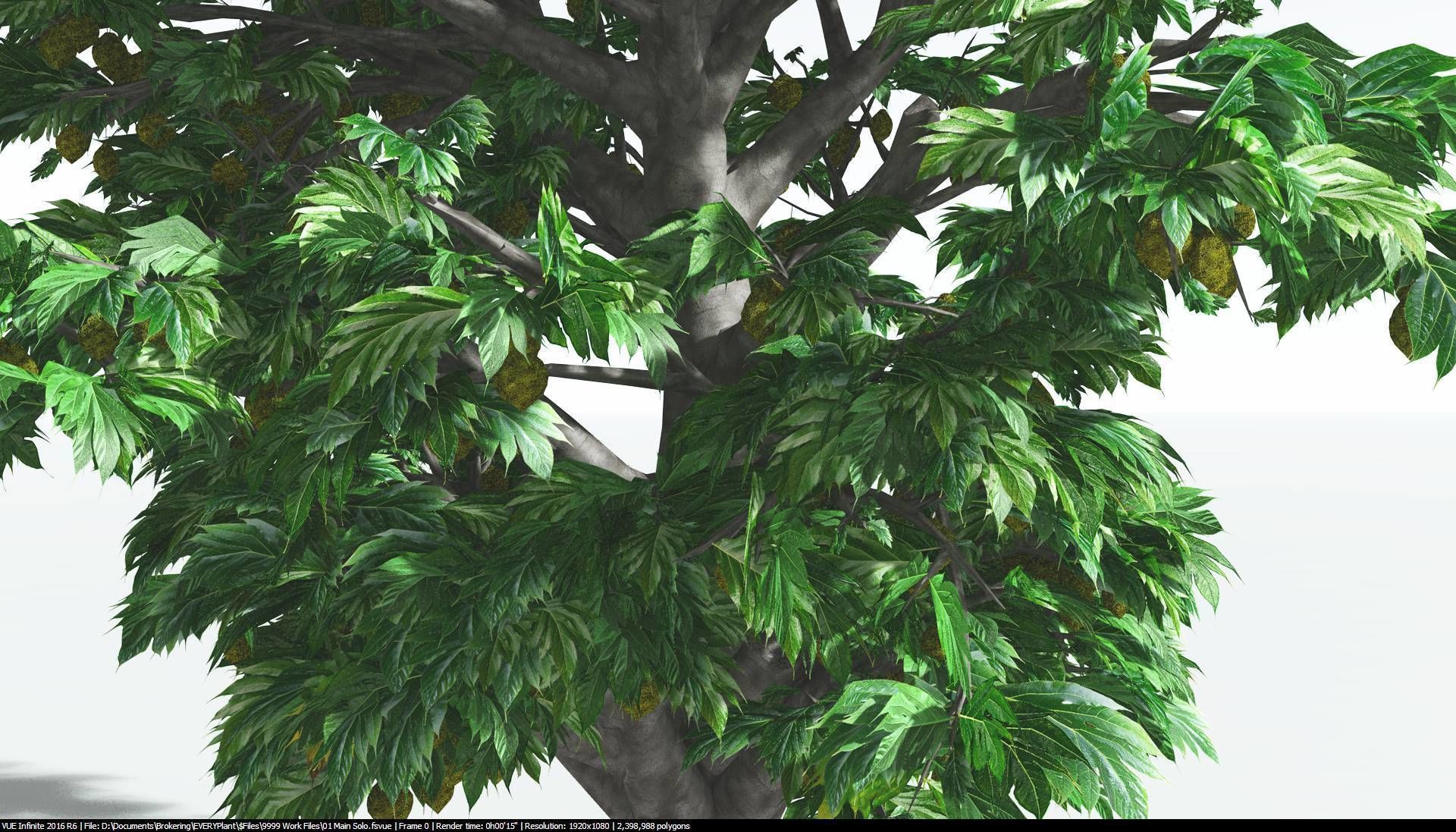 EVERYPlant Breadnut 2 --12 Models-- 3D model_19