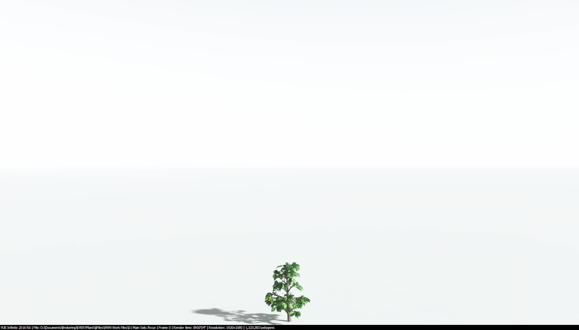 EVERYPlant Breadnut 2 --12 Models-- 3D model_20