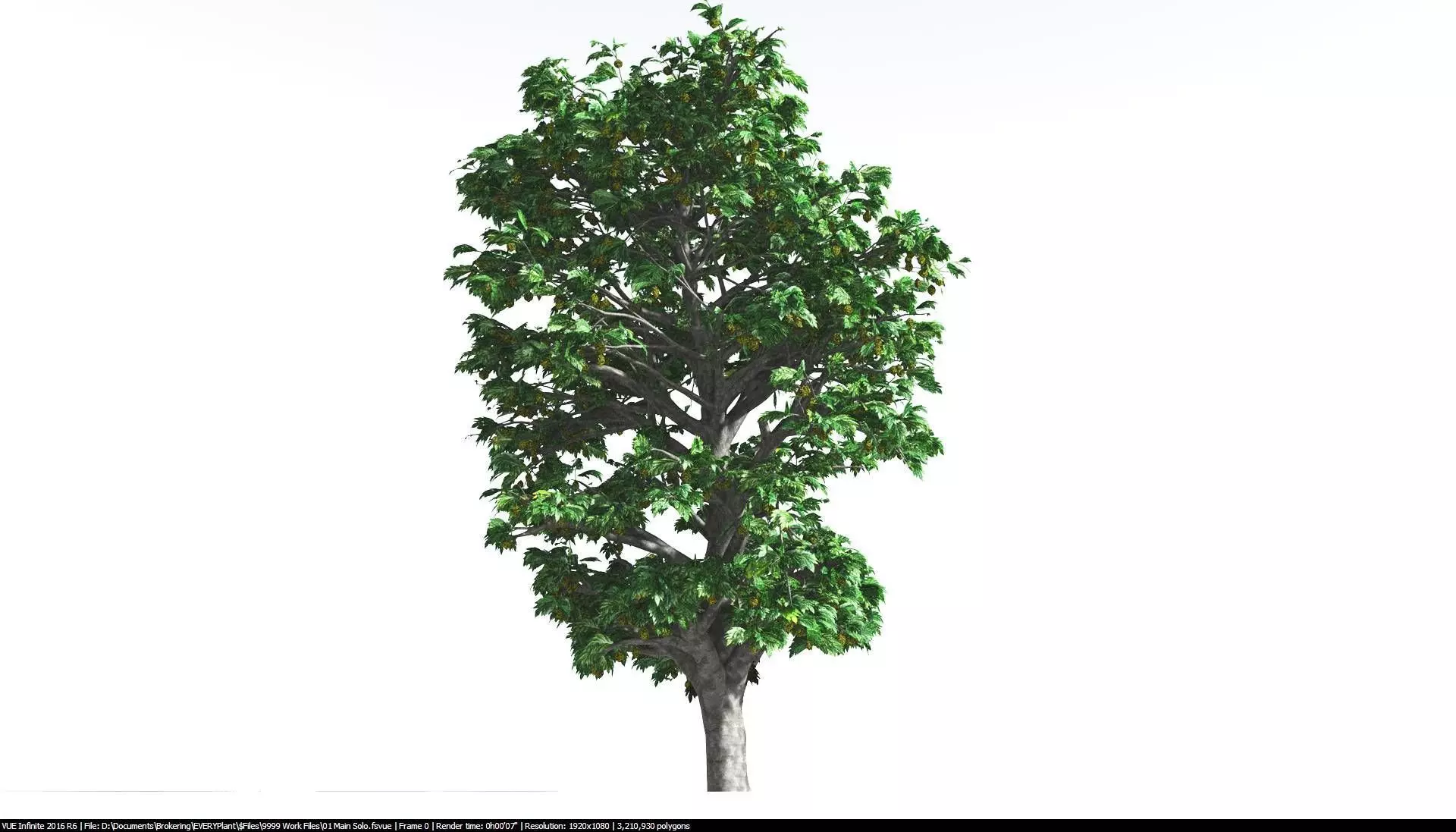EVERYPlant Breadnut 2 --12 Models-- 3D model_0