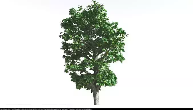 EVERYPlant Breadnut 2 --12 Models-- 3D model