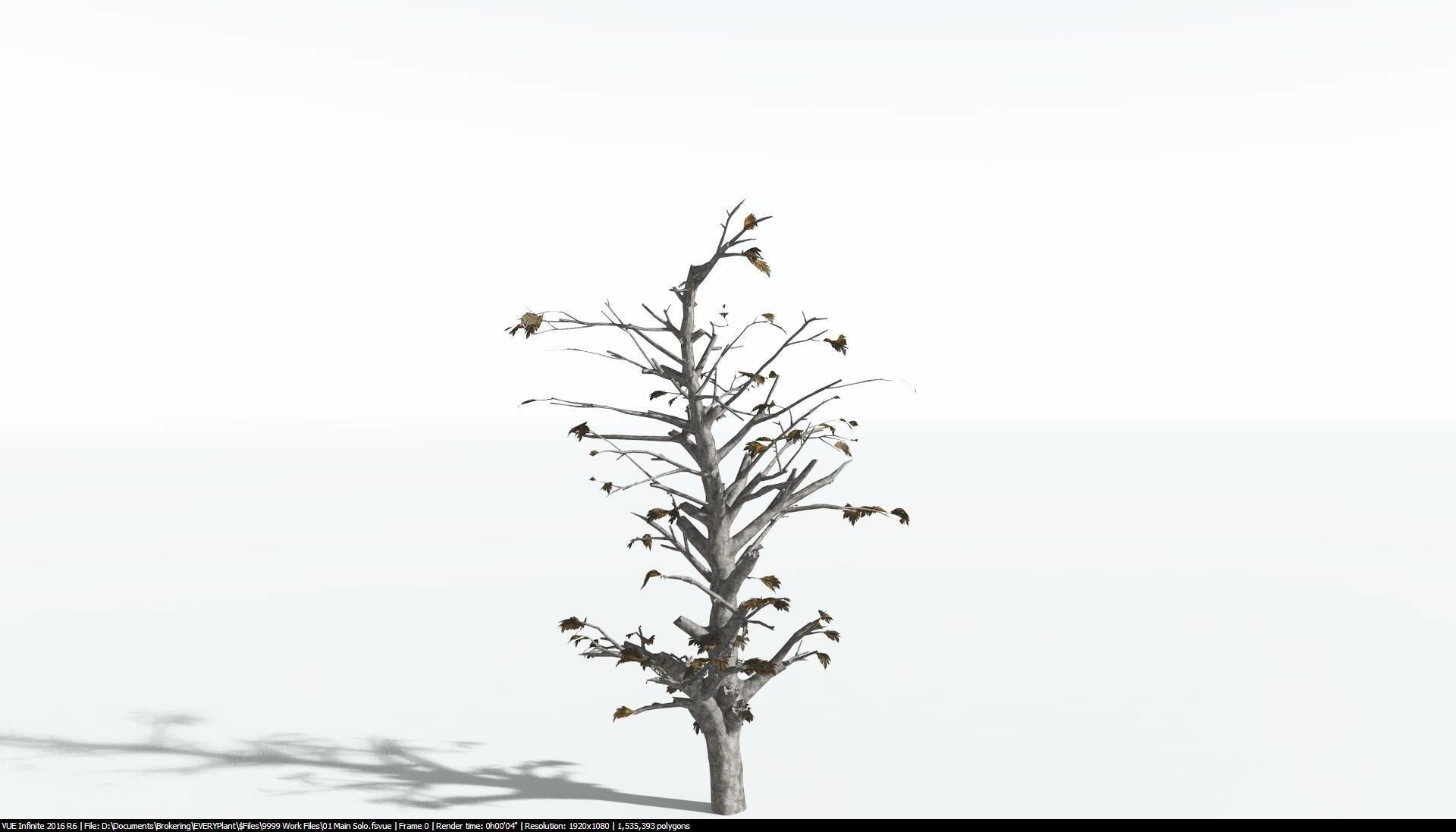 EVERYPlant Breadnut 2 --12 Models-- 3D model_12