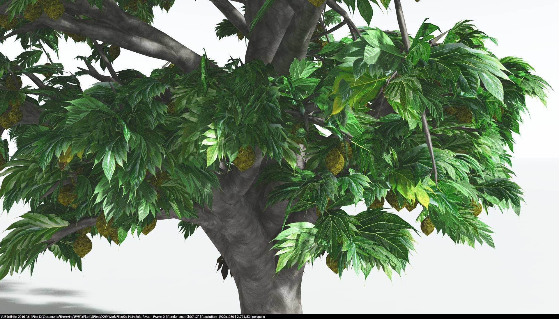 EVERYPlant Breadnut 2 --12 Models-- 3D model_5