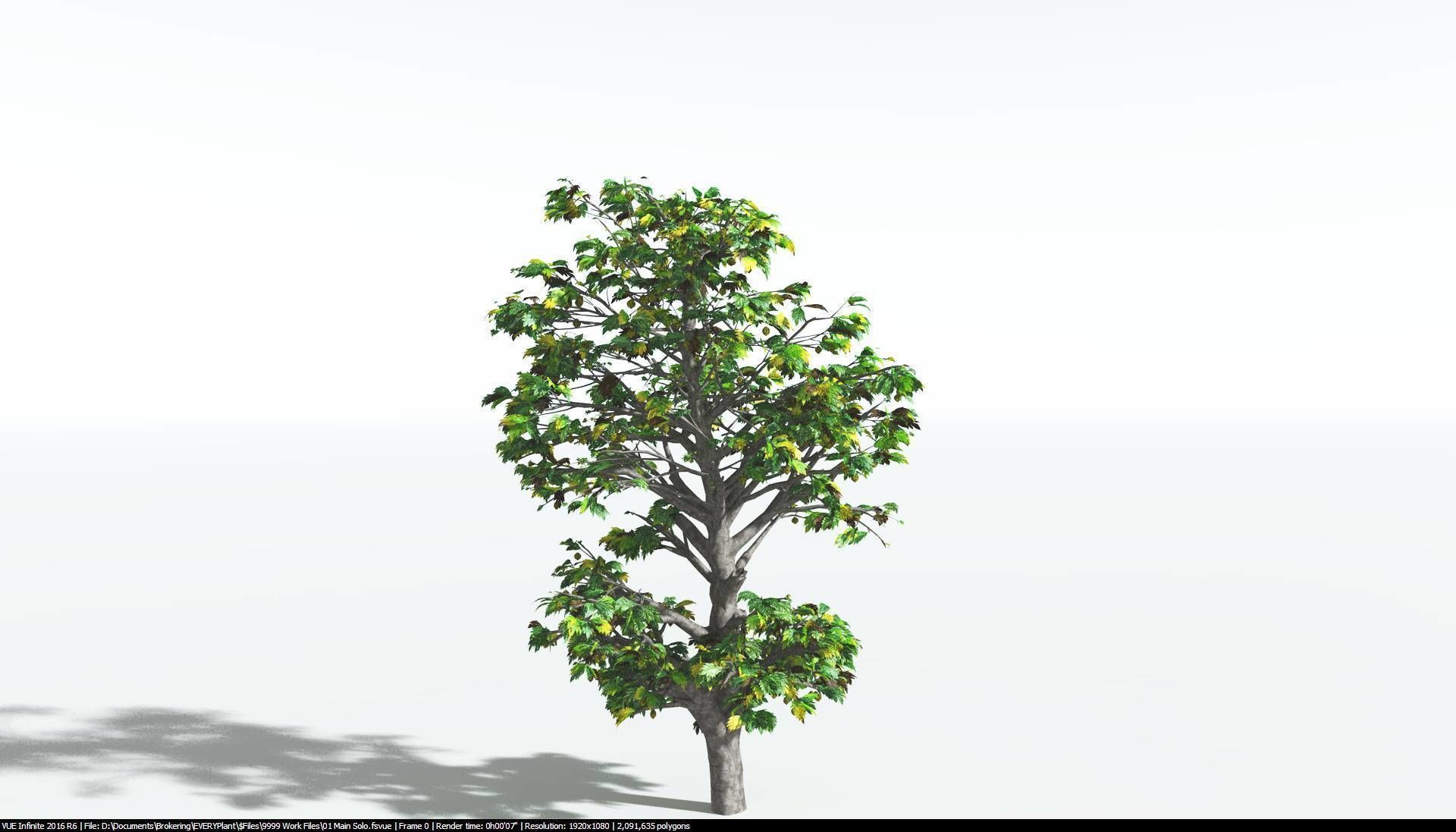 EVERYPlant Breadnut 2 --12 Models-- 3D model_8