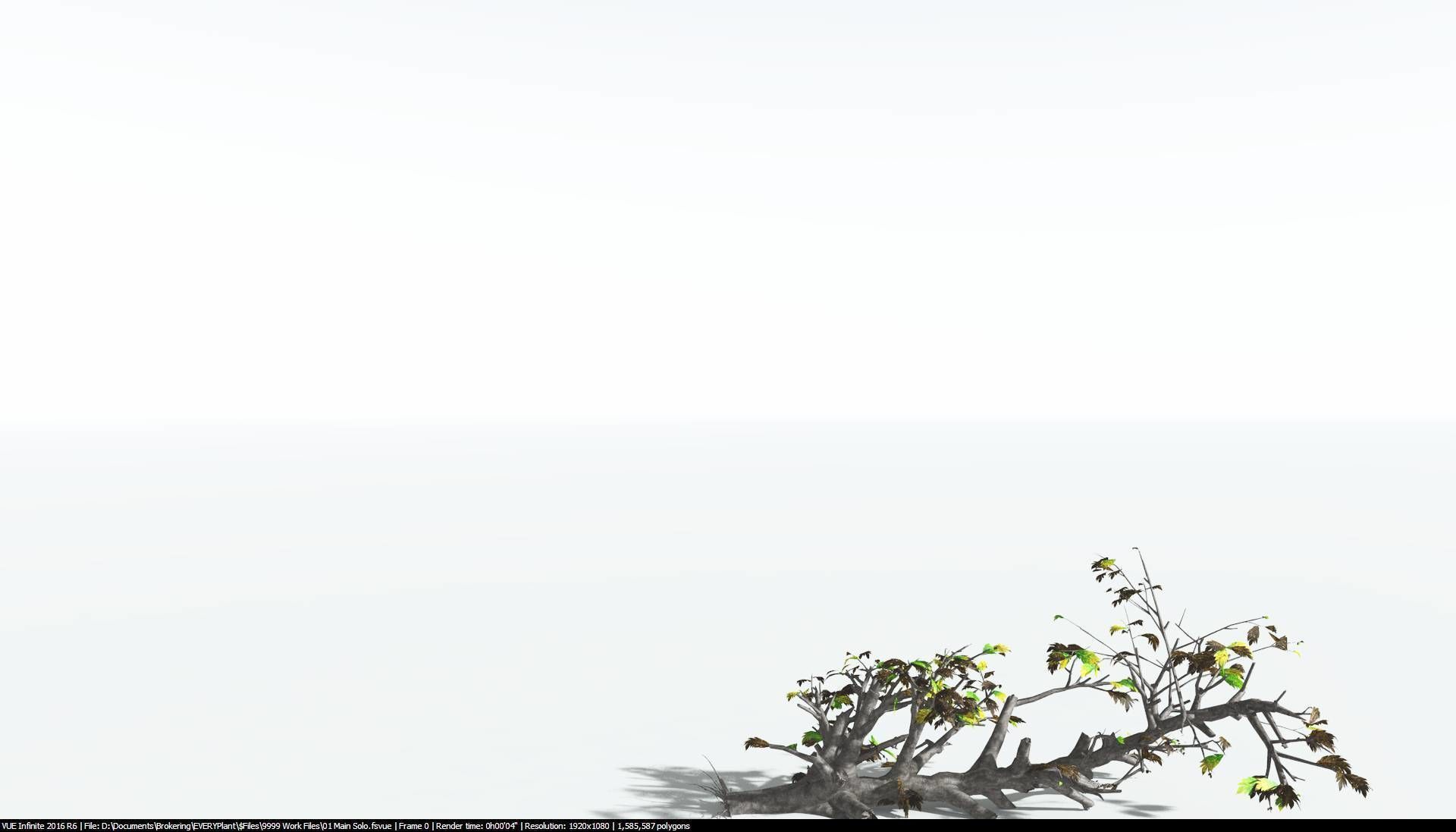 EVERYPlant Breadnut 2 --12 Models-- 3D model_14