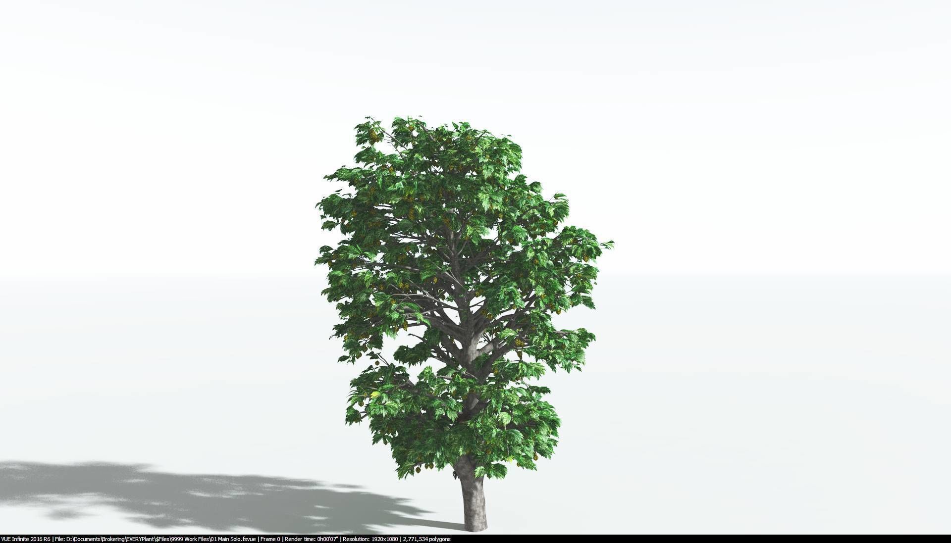 EVERYPlant Breadnut 2 --12 Models-- 3D model_4