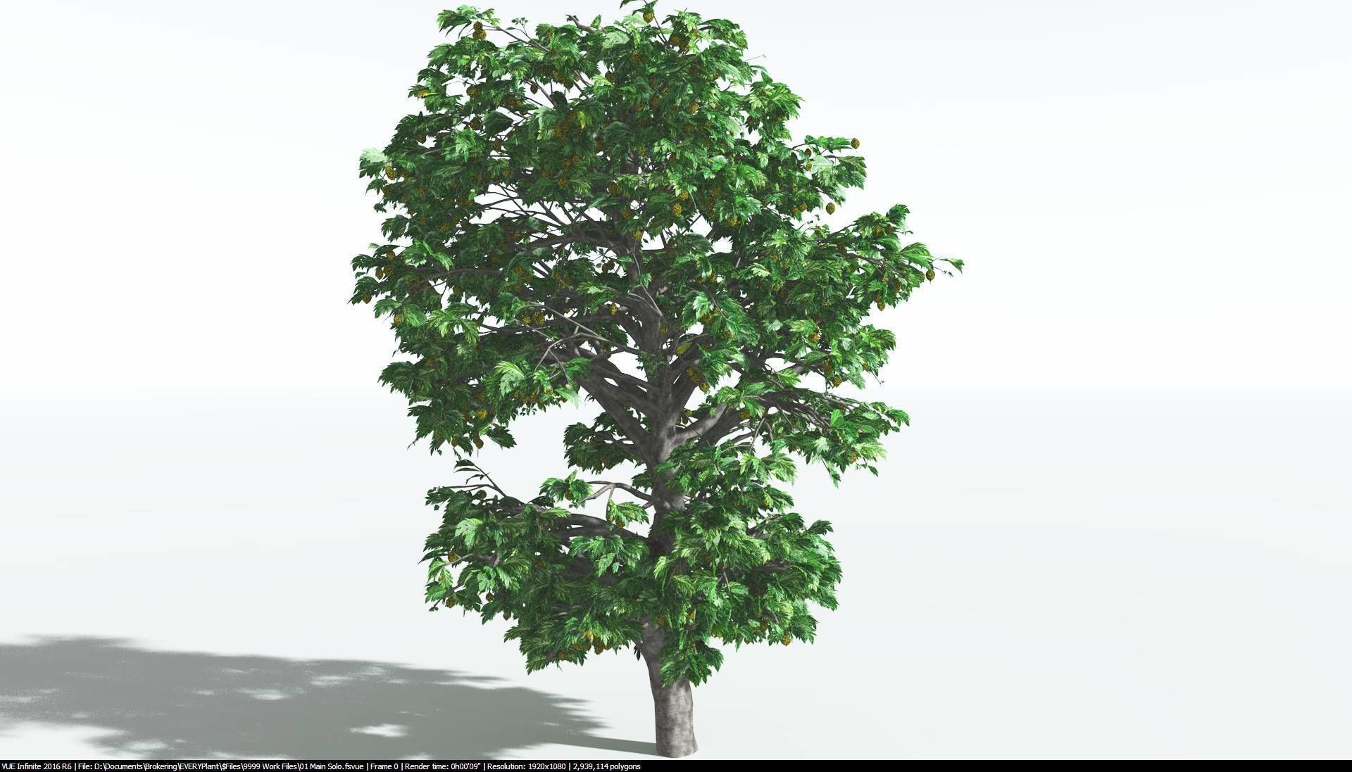 EVERYPlant Breadnut 2 --12 Models-- 3D model_16