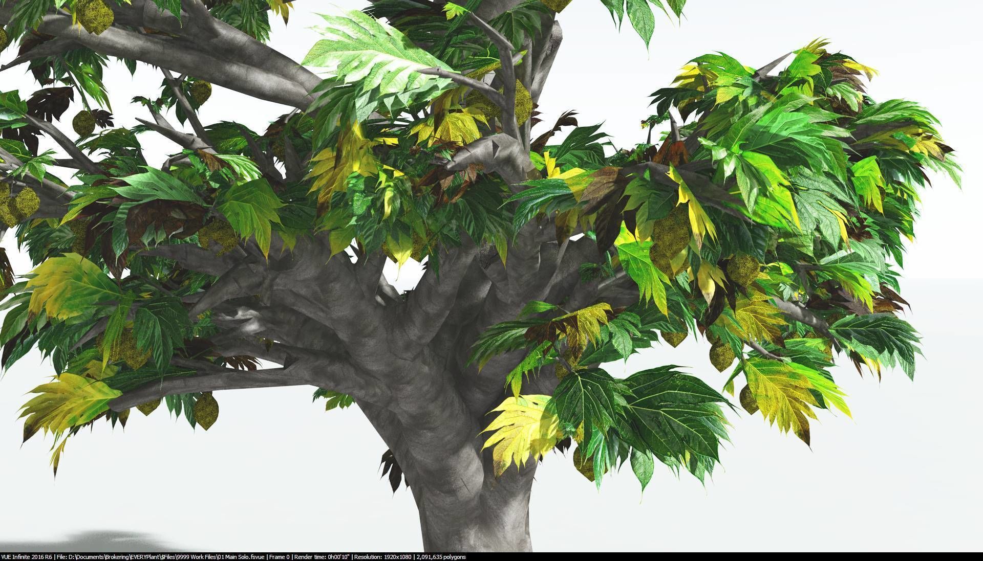 EVERYPlant Breadnut 2 --12 Models-- 3D model_9