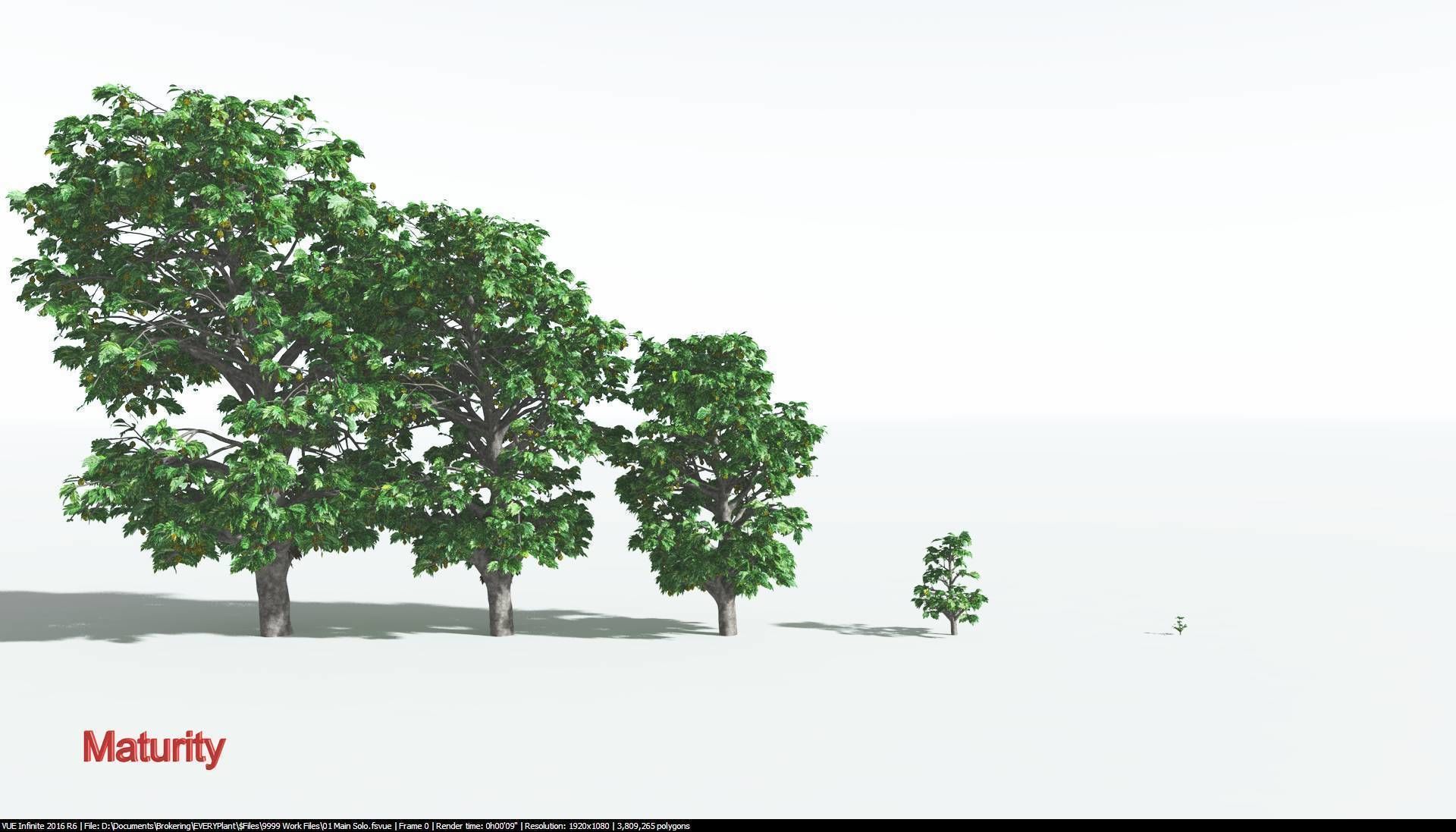 EVERYPlant Breadnut 2 --12 Models-- 3D model_2