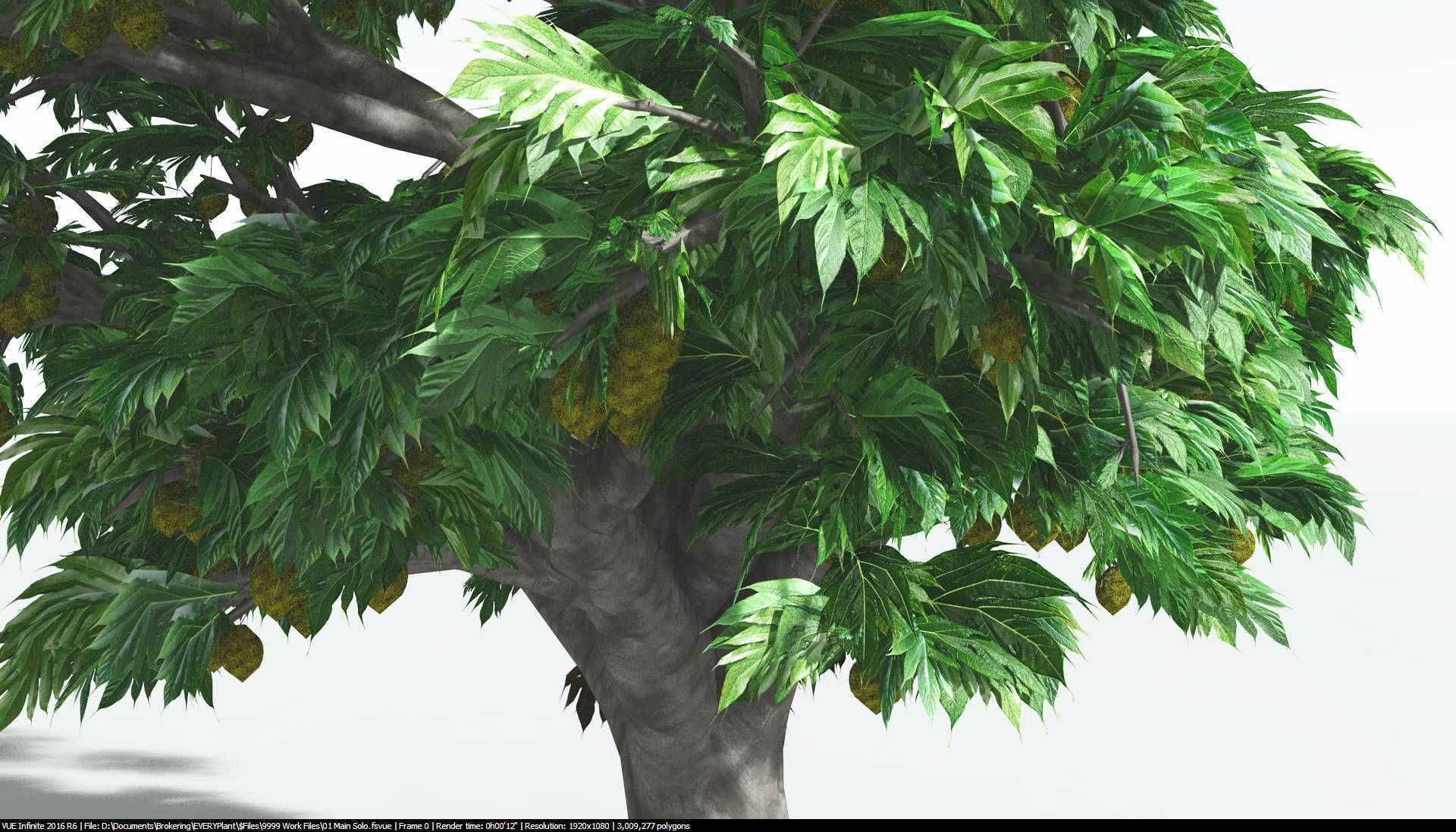 EVERYPlant Breadnut 2 --12 Models-- 3D model_7