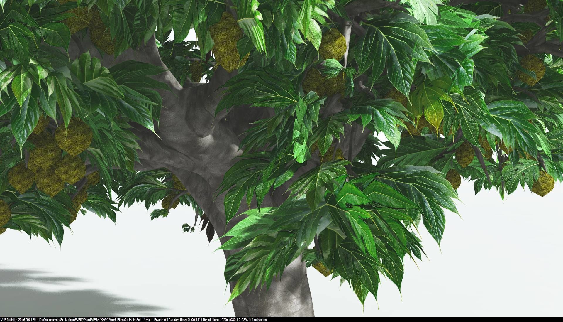 EVERYPlant Breadnut 2 --12 Models-- 3D model_17