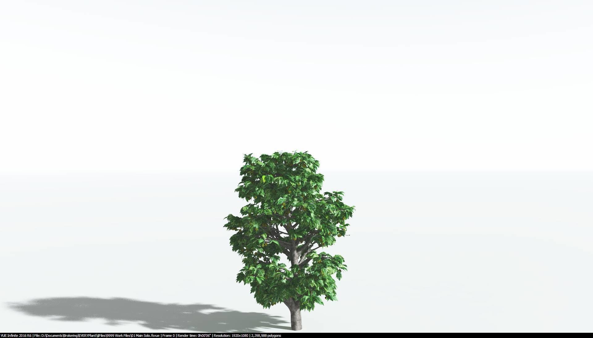 EVERYPlant Breadnut 2 --12 Models-- 3D model_18