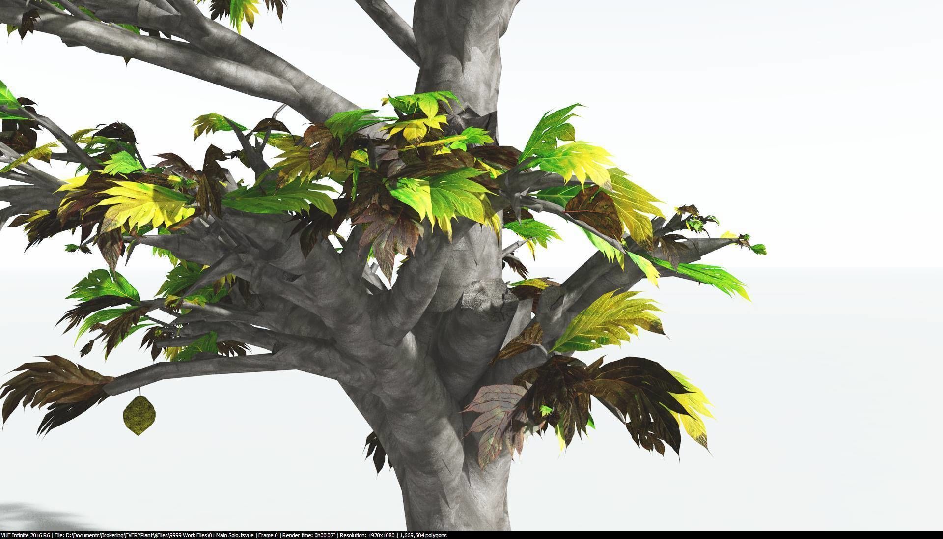 EVERYPlant Breadnut 2 --12 Models-- 3D model_11