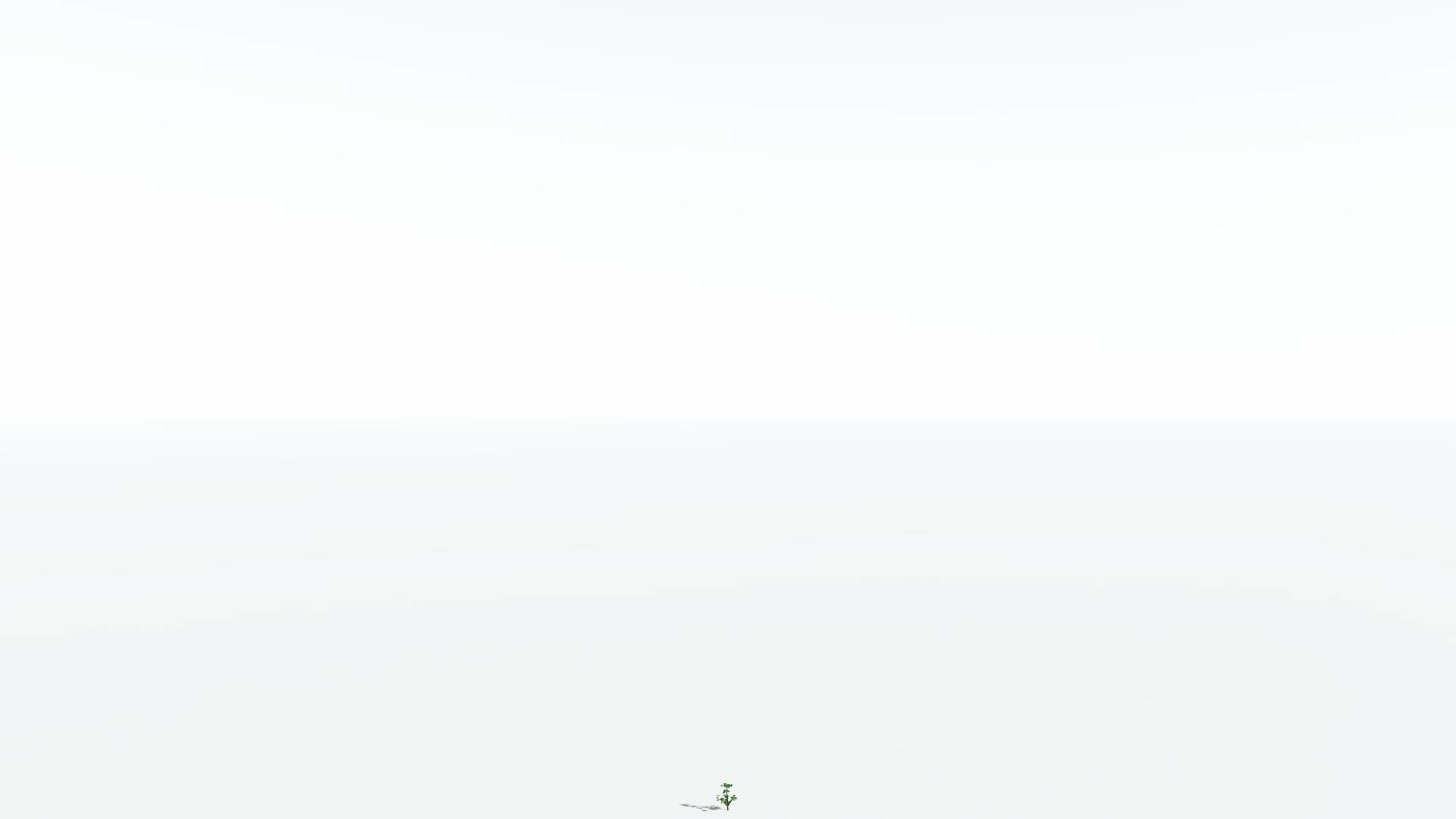 EVERYPlant Breadnut 2 --12 Models-- 3D model_22