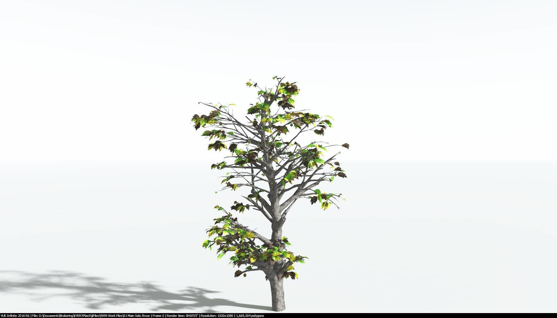 EVERYPlant Breadnut 2 --12 Models-- 3D model_10
